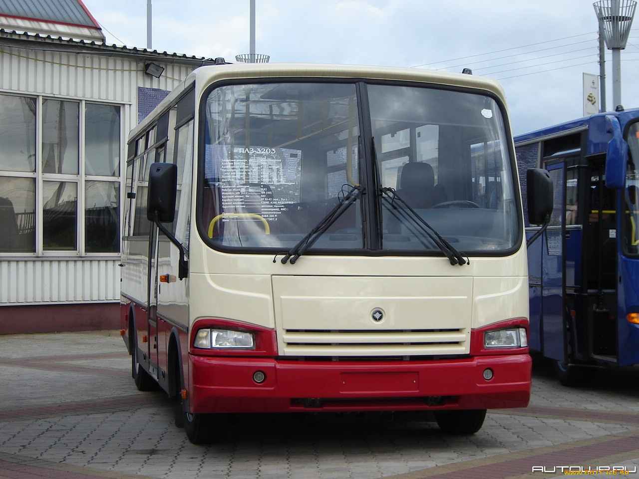 автомобили, автобусы