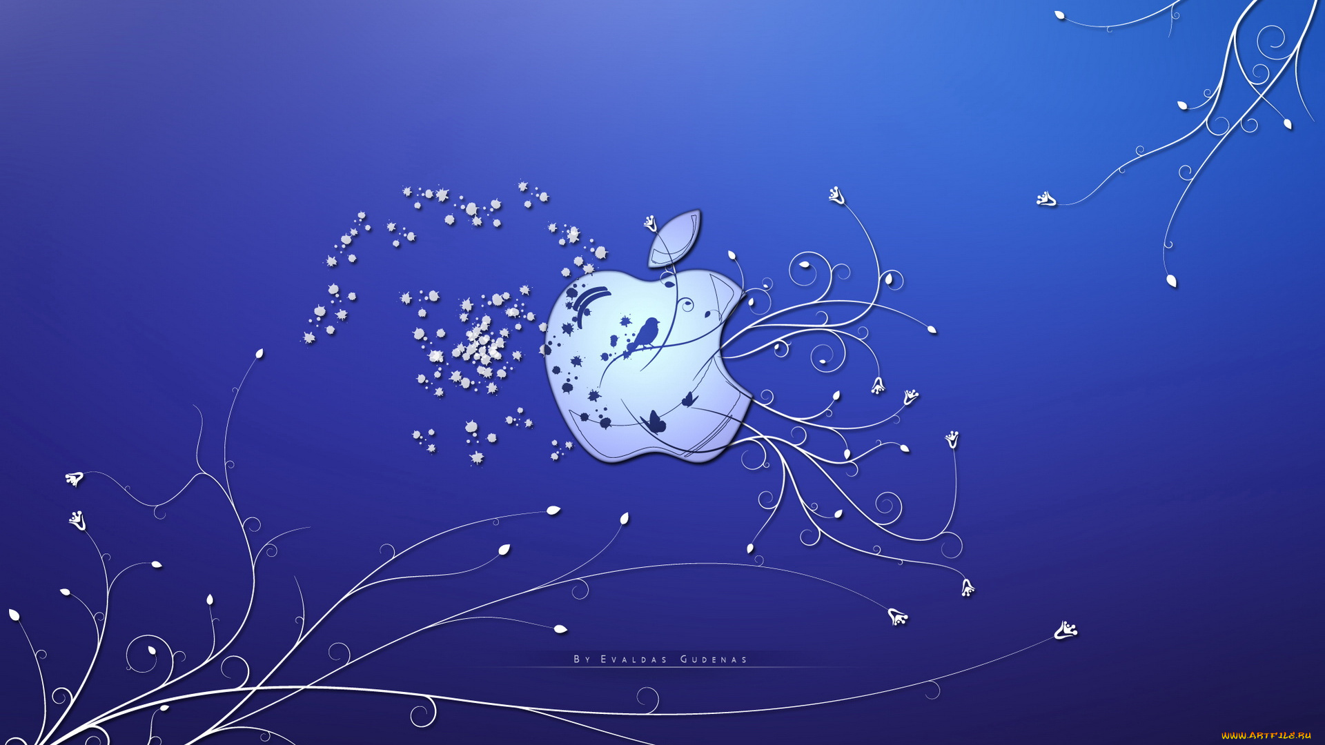 компьютеры, apple