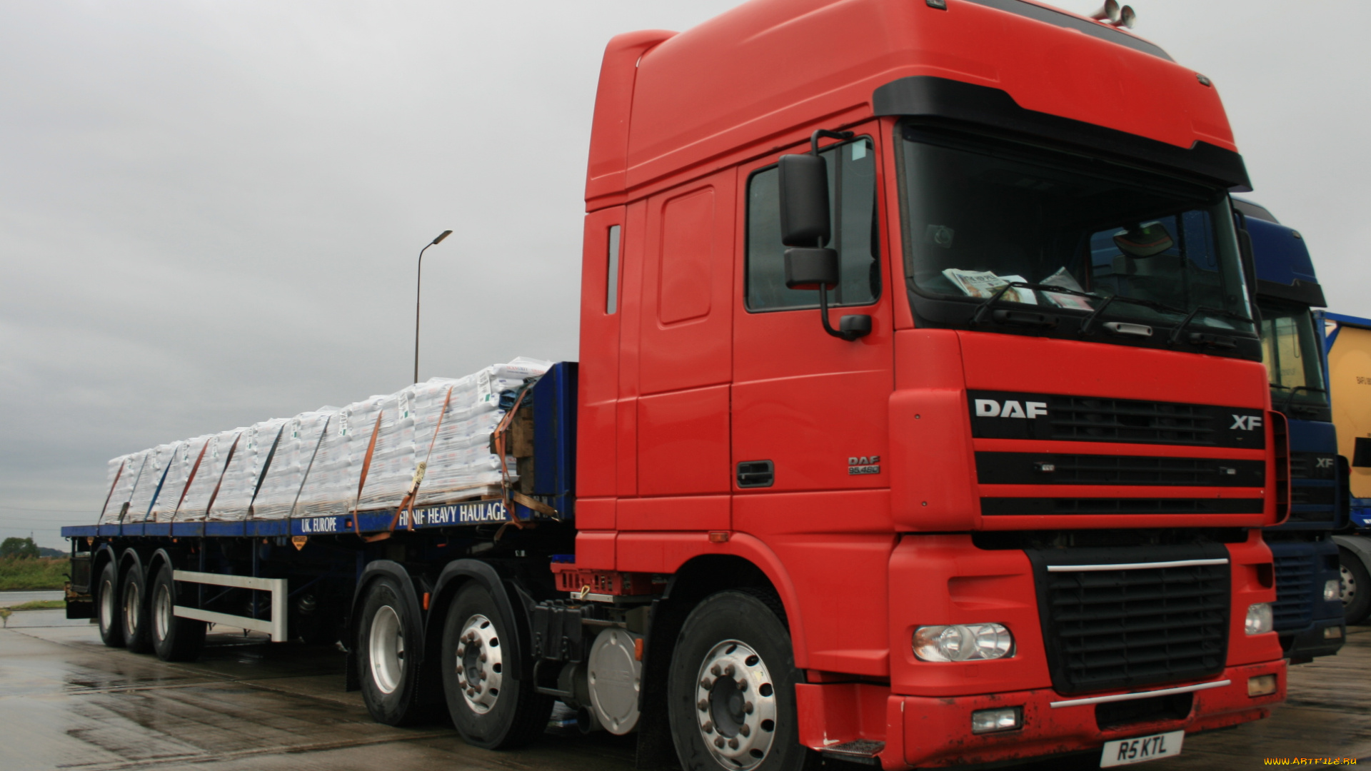 daf, автомобили, автобусы, нидерланды, trucks, nv, седельные, тягачи, шасси