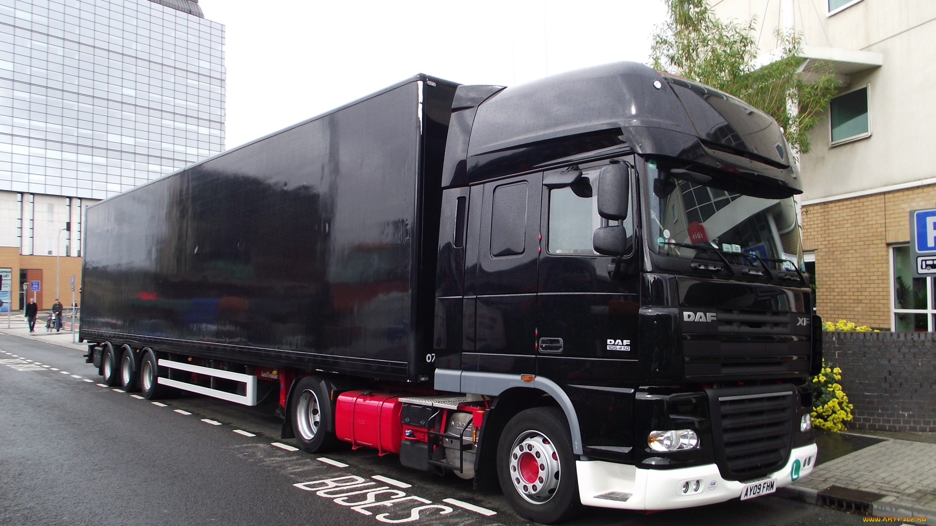 daf, автомобили, нидерланды, автобусы, шасси, trucks, nv, седельные, тягачи