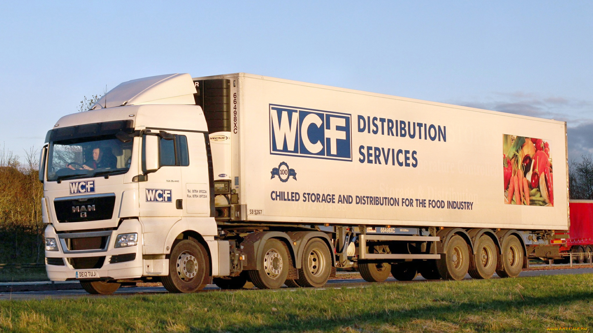 man, автомобили, автобусы, грузовые, se, германия, двигатели