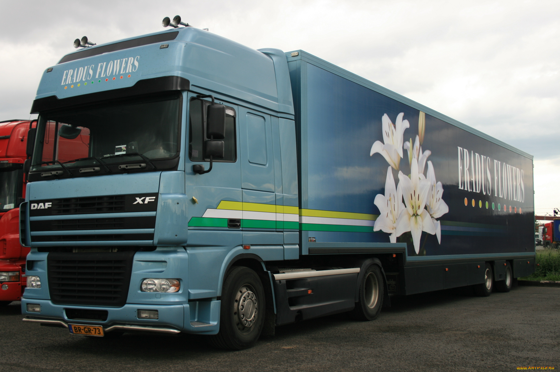 daf, автомобили, автобусы, шасси, седельные, тягачи, trucks, nv, нидерланды