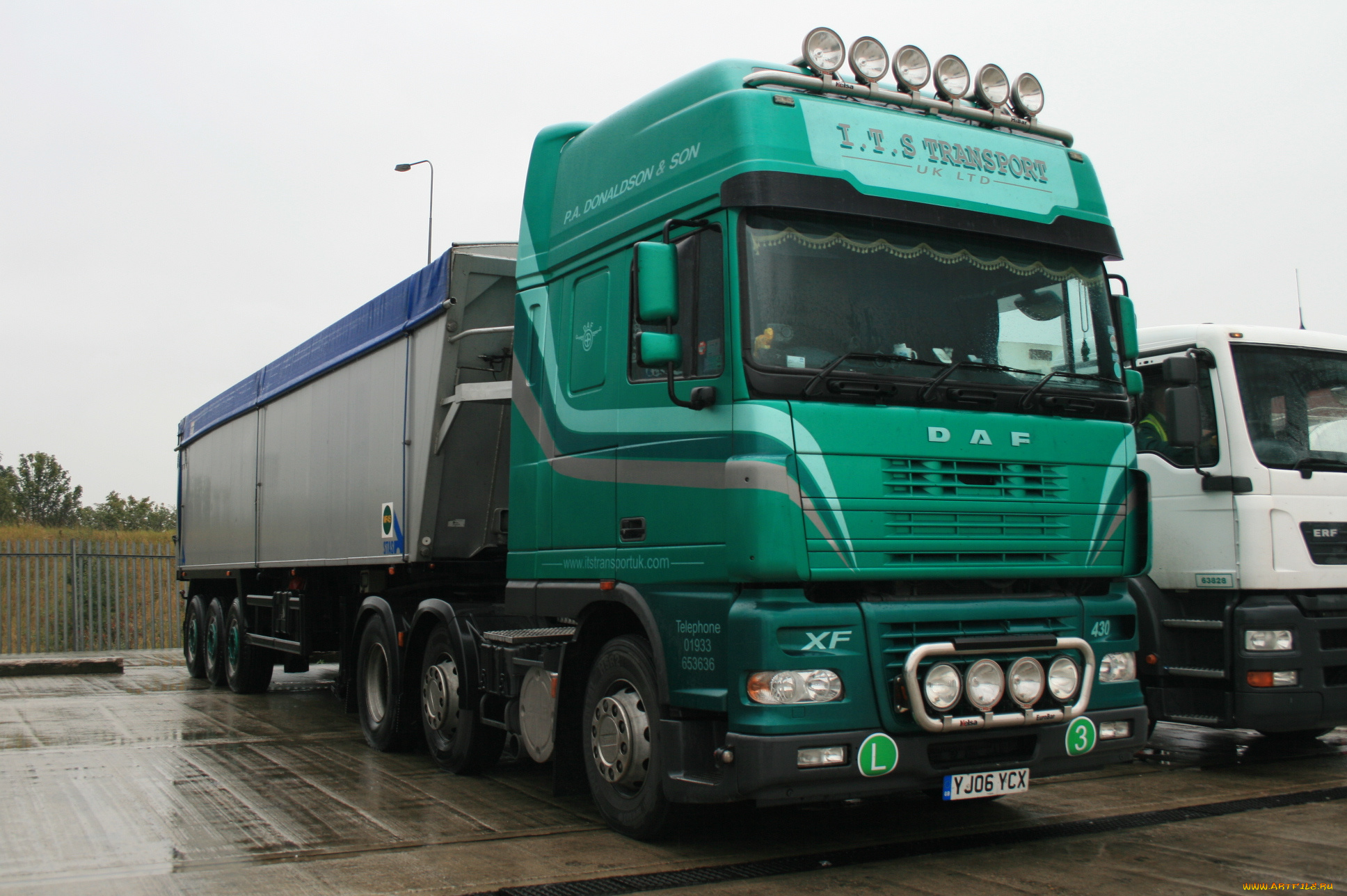 daf, автомобили, седельные, тягачи, шасси, автобусы, нидерланды, trucks, nv