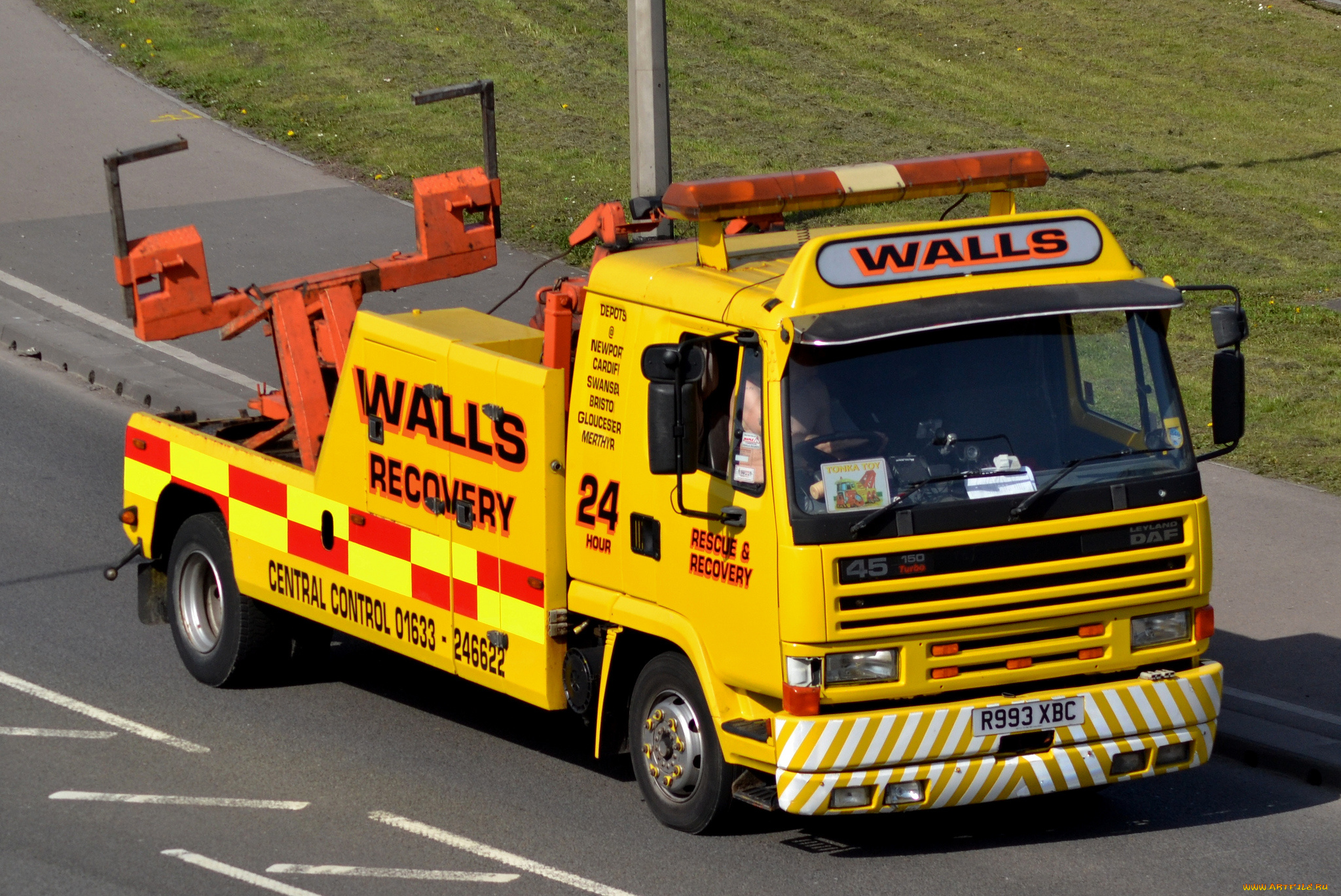 daf, автомобили, trucks, nv, шасси, седельные, тягачи, нидерланды, автобусы