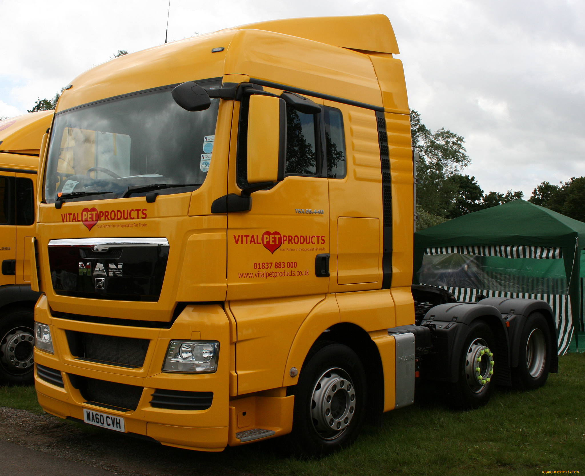 man, автомобили, двигатели, германия, автобусы, se, грузовые