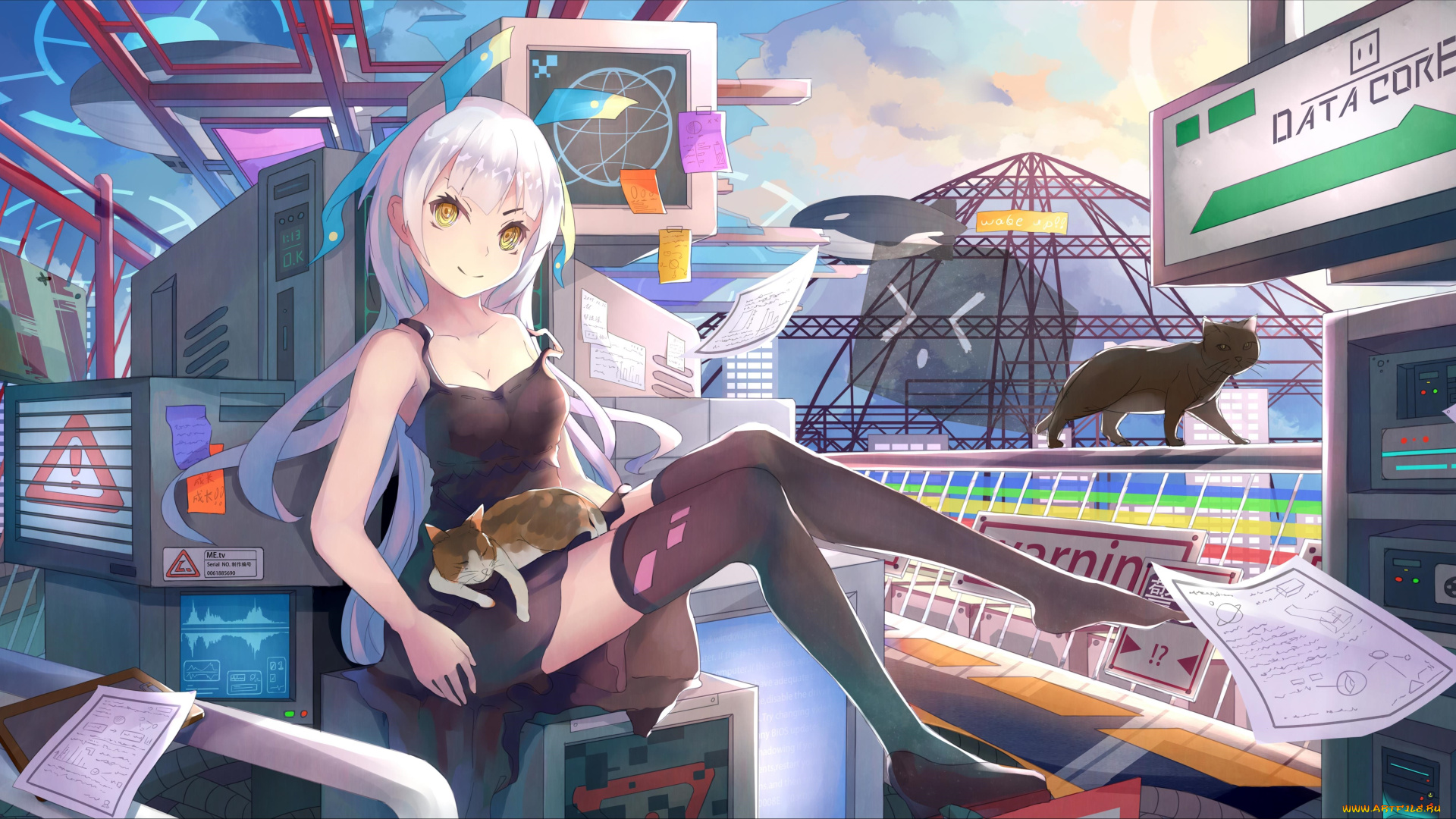 аниме, город, , улицы, , здания, коты, девушка, арт