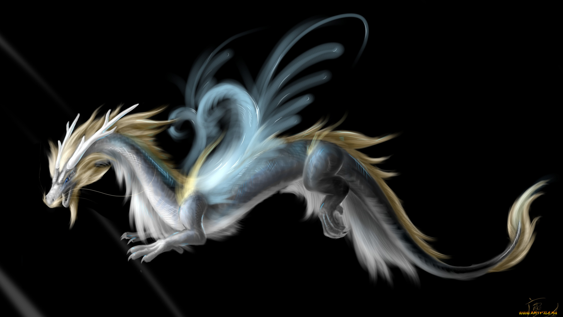 фэнтези, драконы, черный, фон, морда, взгляд, рога, крылья, хвост, арт, дракон