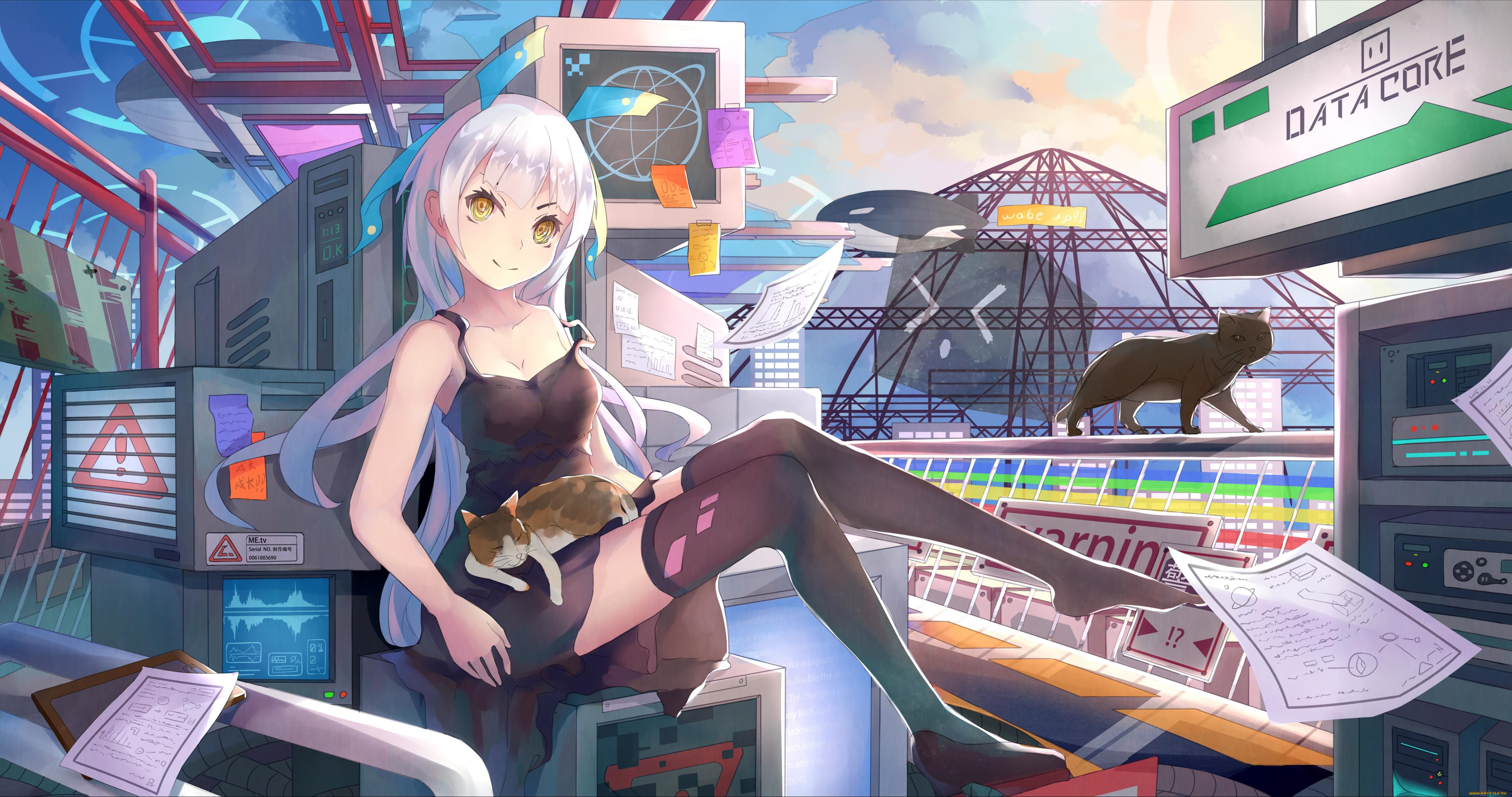 аниме, город, , улицы, , здания, коты, девушка, арт