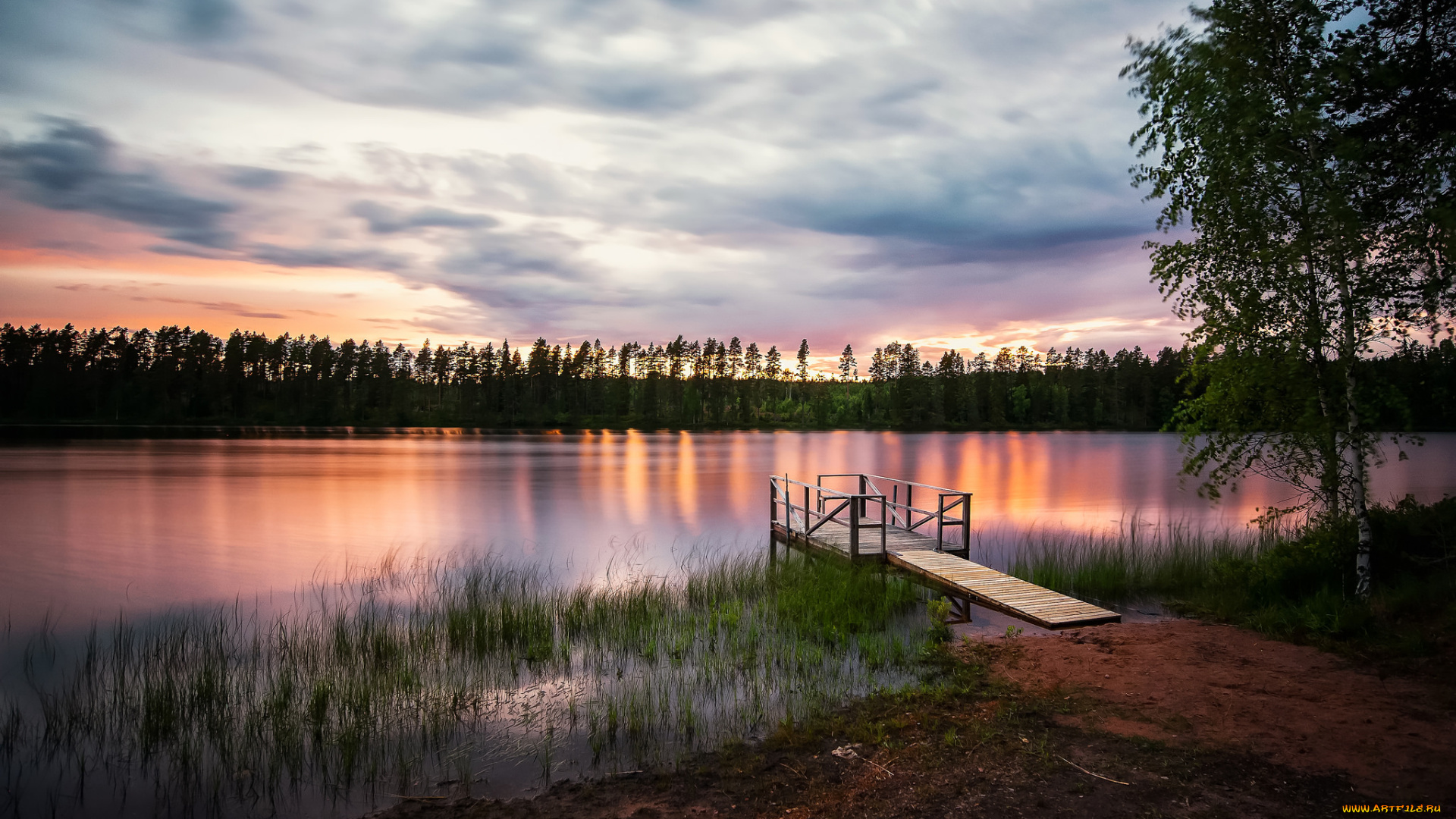 природа, реки, озера, лес, река