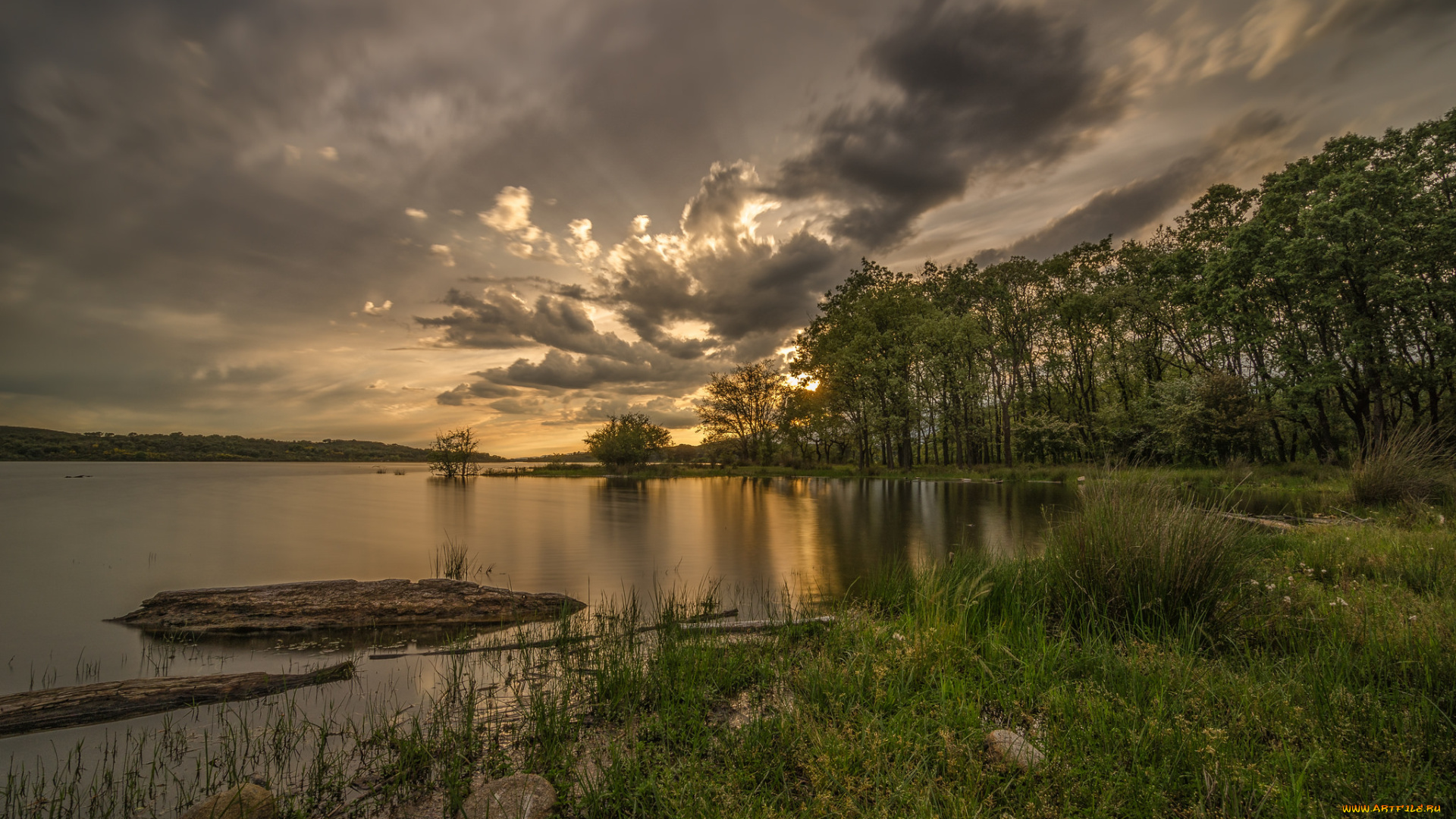 природа, реки, озера, река, лес