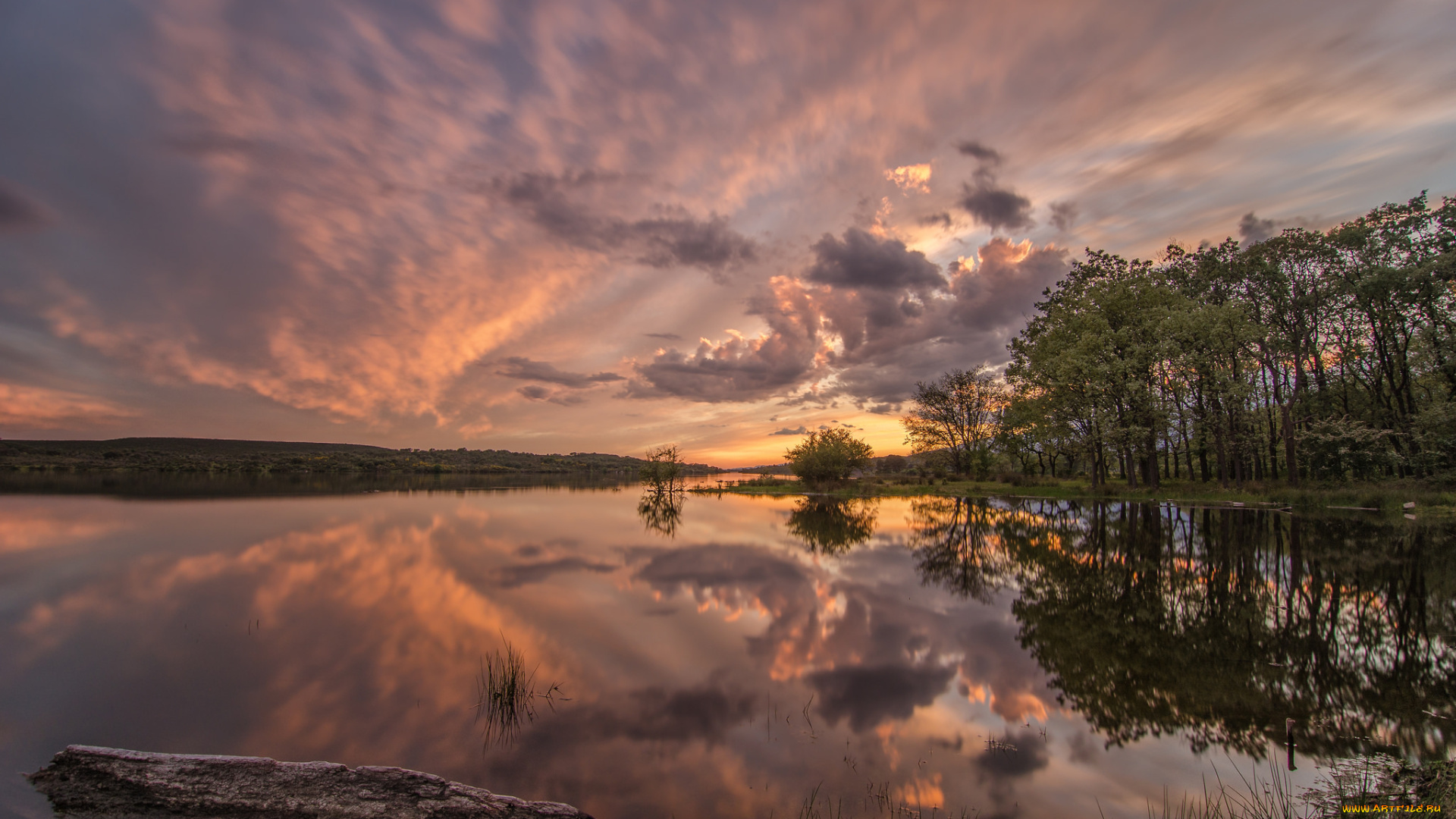 природа, реки, озера, река, лес