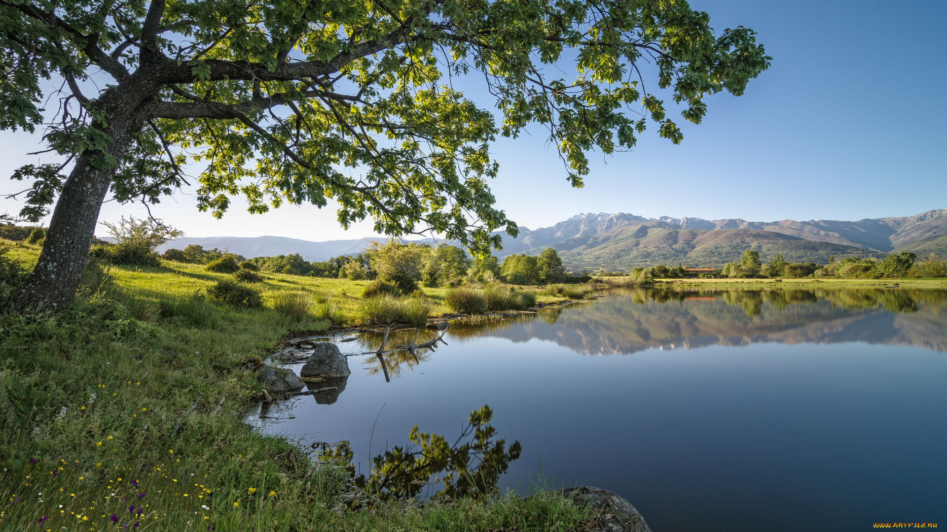 природа, реки, озера, река, лес