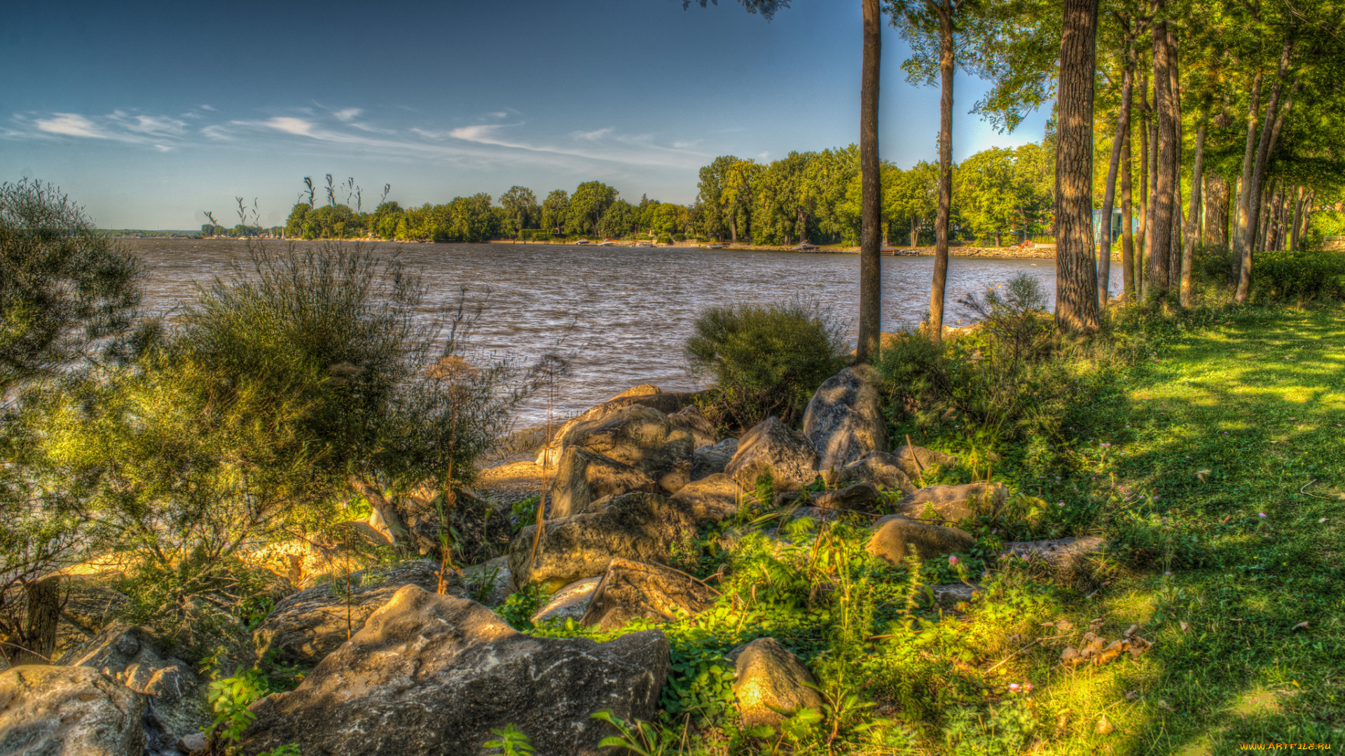 природа, реки, озера, река, лес