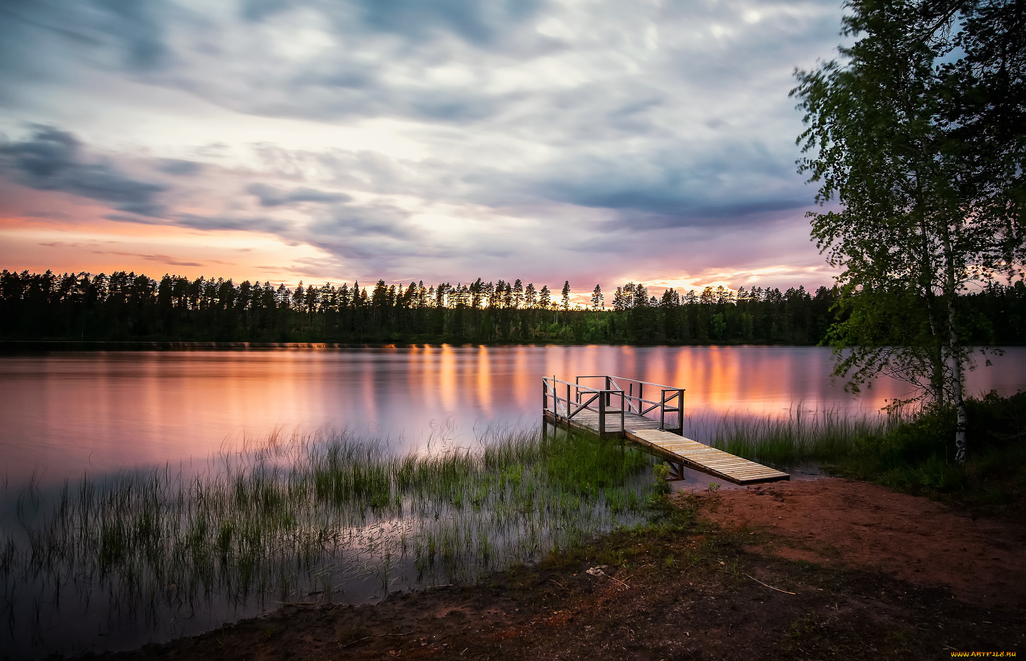 природа, реки, озера, лес, река