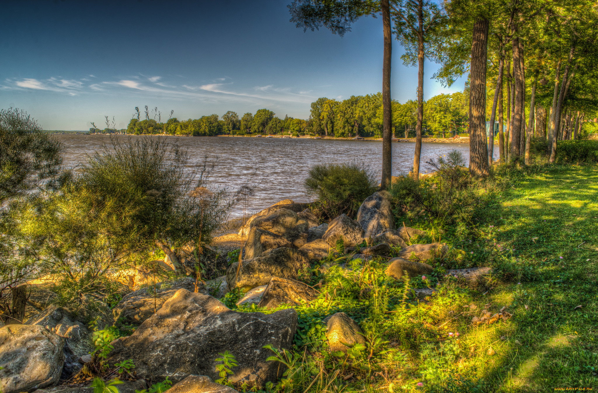 природа, реки, озера, река, лес