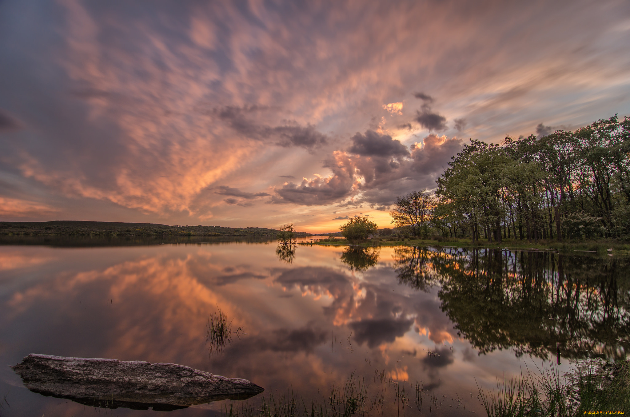 природа, реки, озера, река, лес