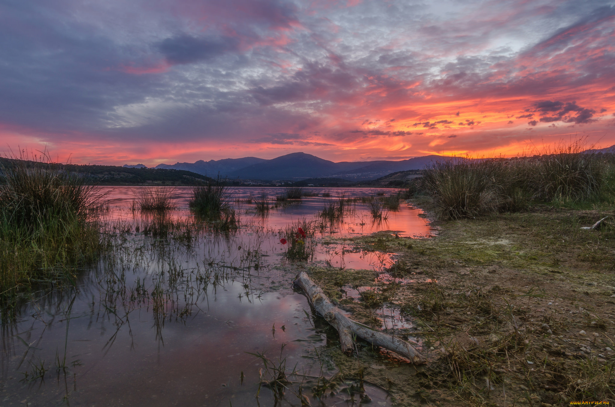природа, реки, озера, река, лес