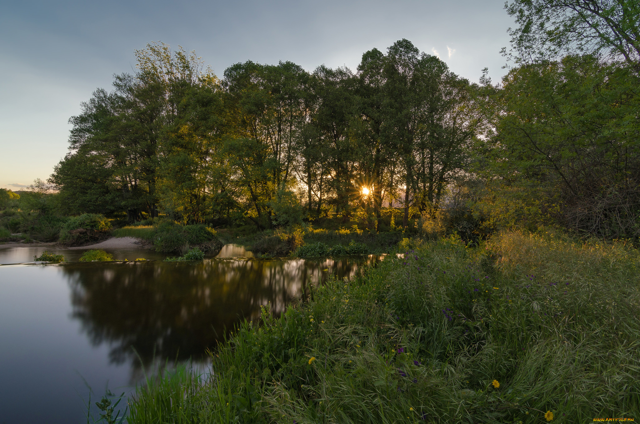 природа, реки, озера, река, лес
