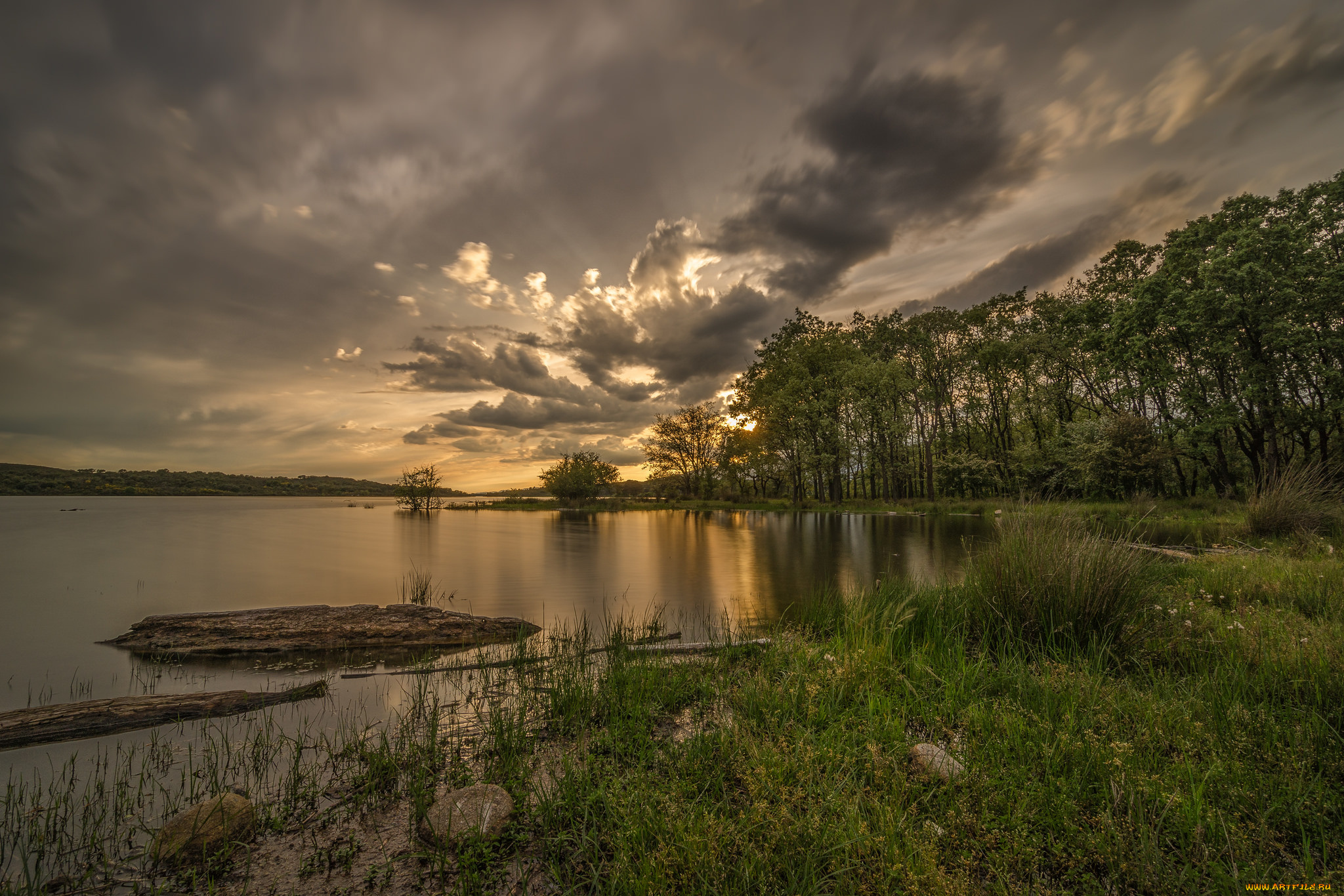 природа, реки, озера, река, лес