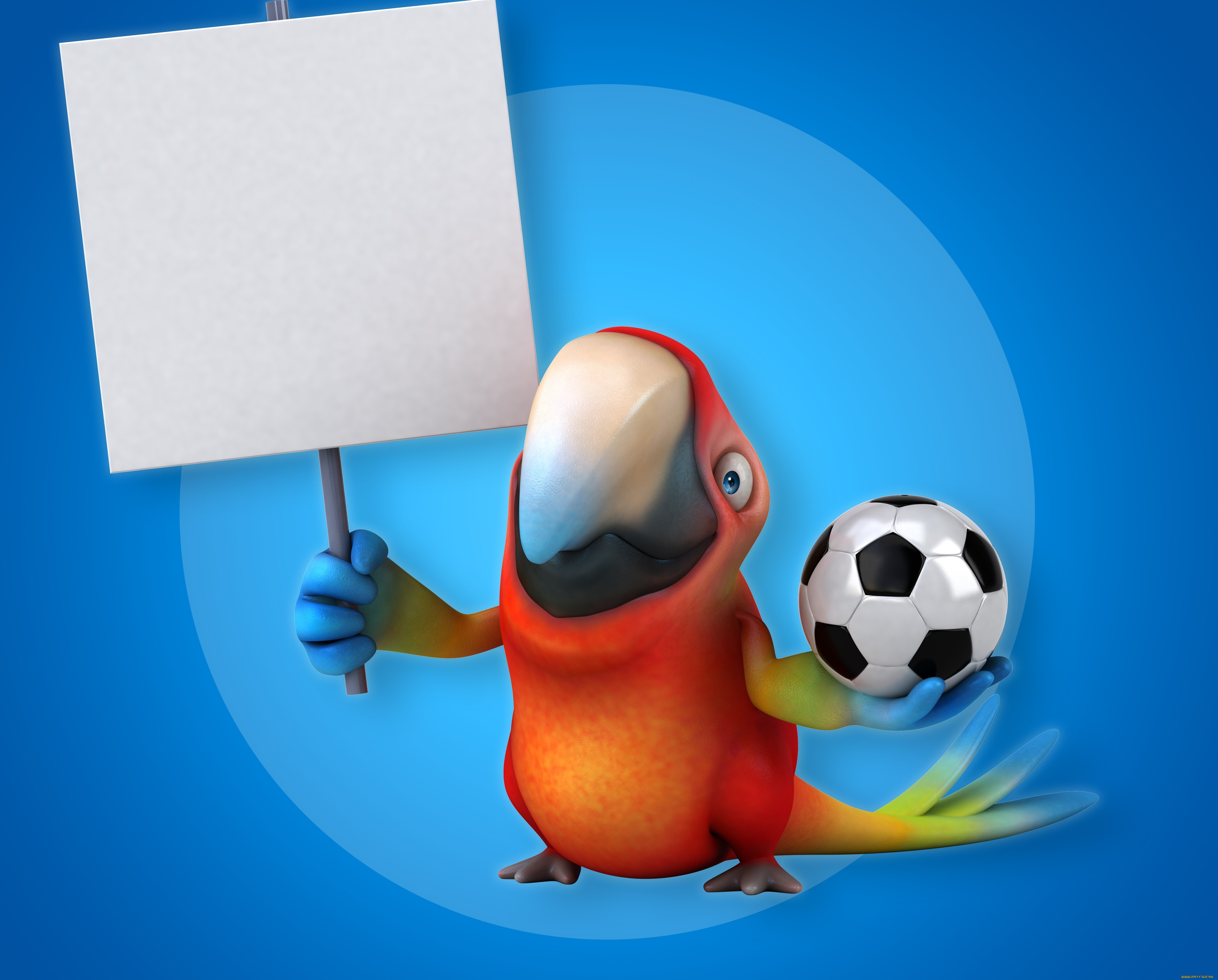 3д, графика, юмор, , humor, попугай