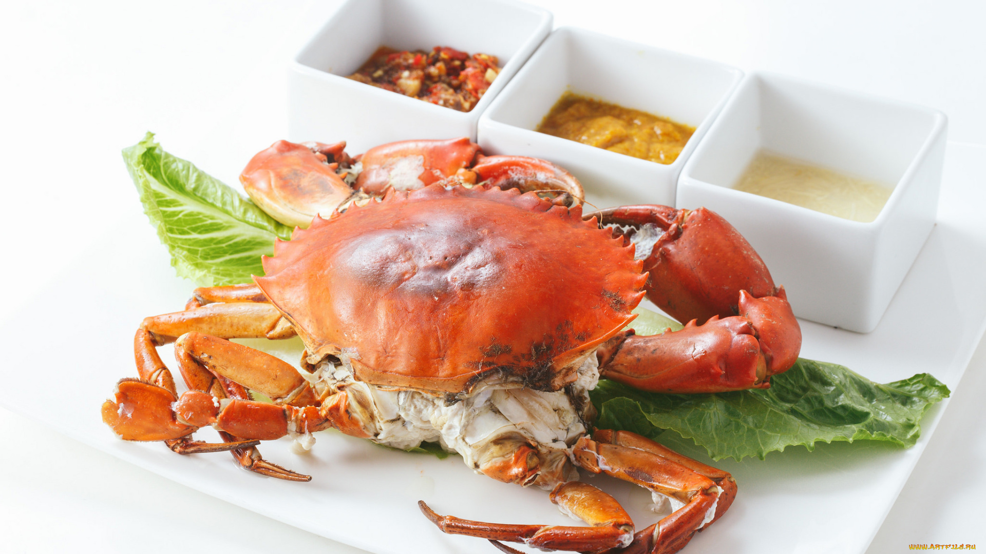 еда, салаты, , закуски, снедь