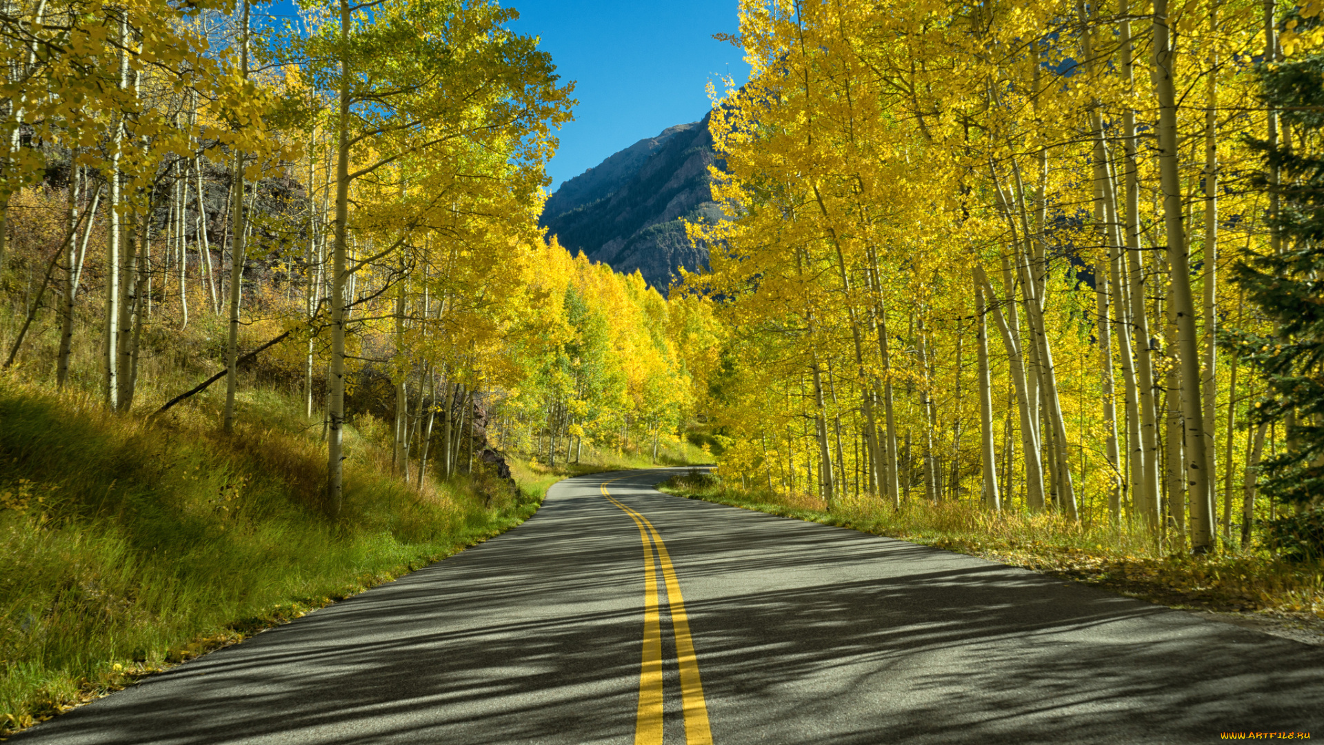 природа, дороги, простор