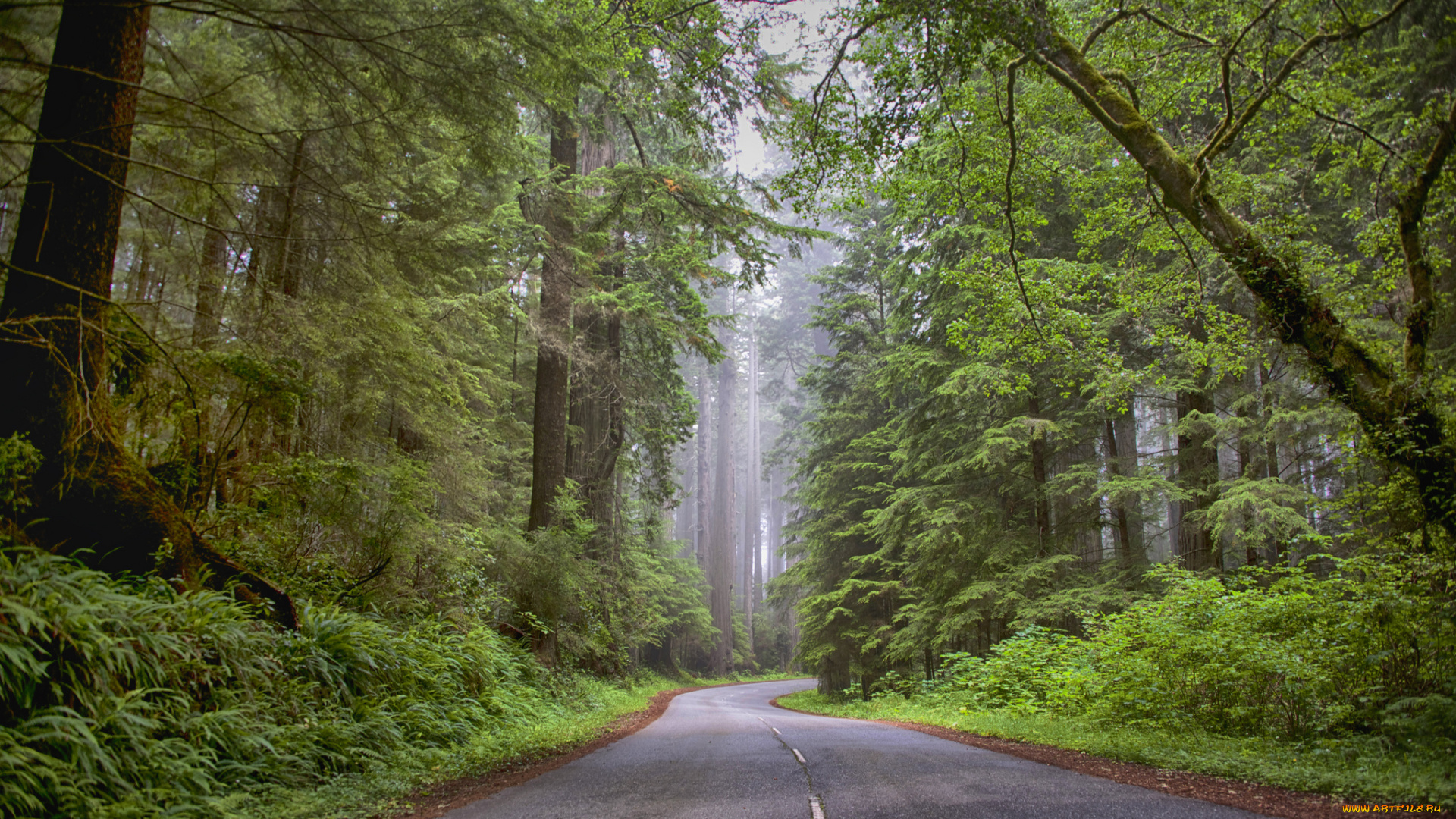 природа, дороги, простор