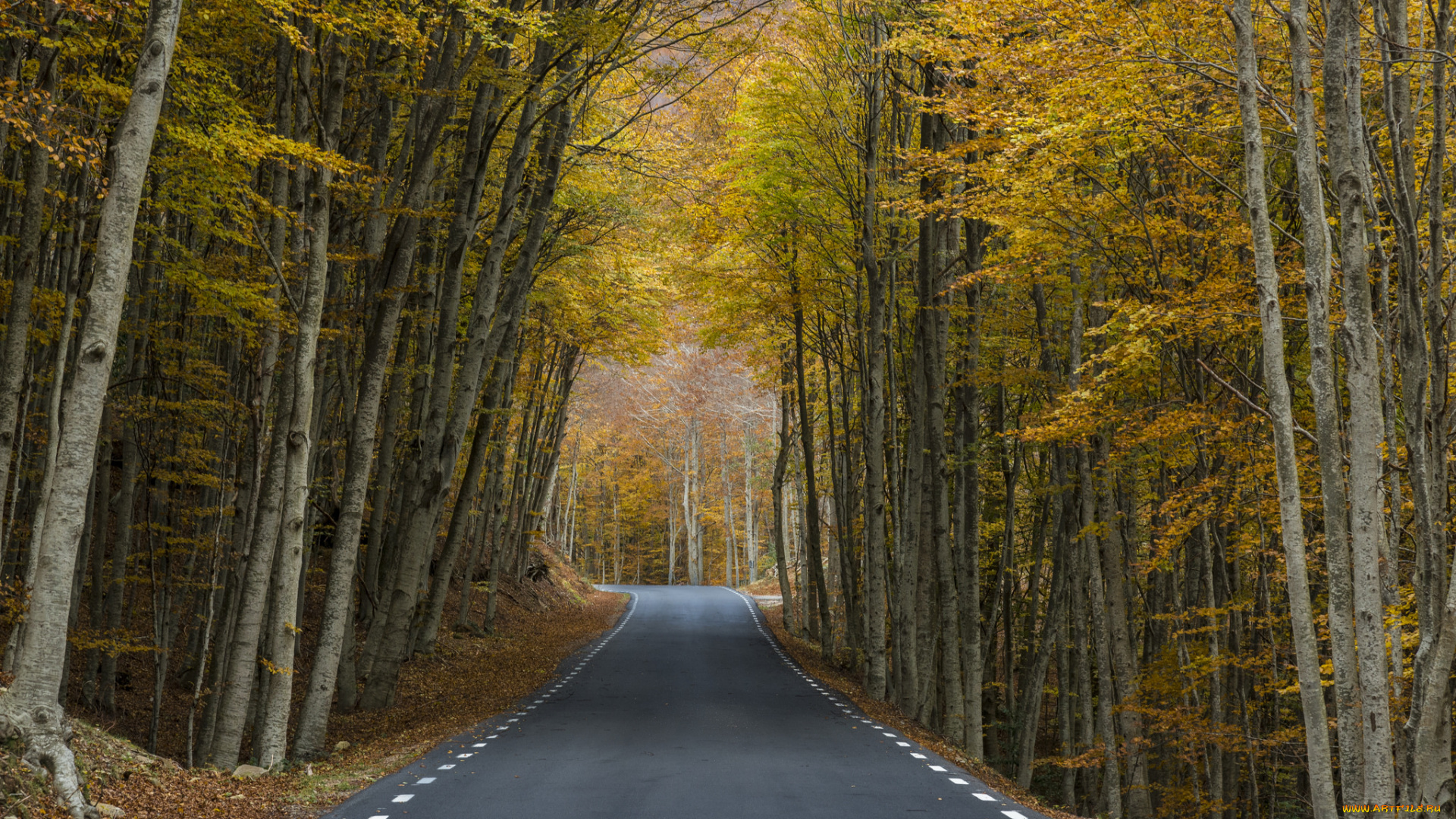 природа, дороги, простор