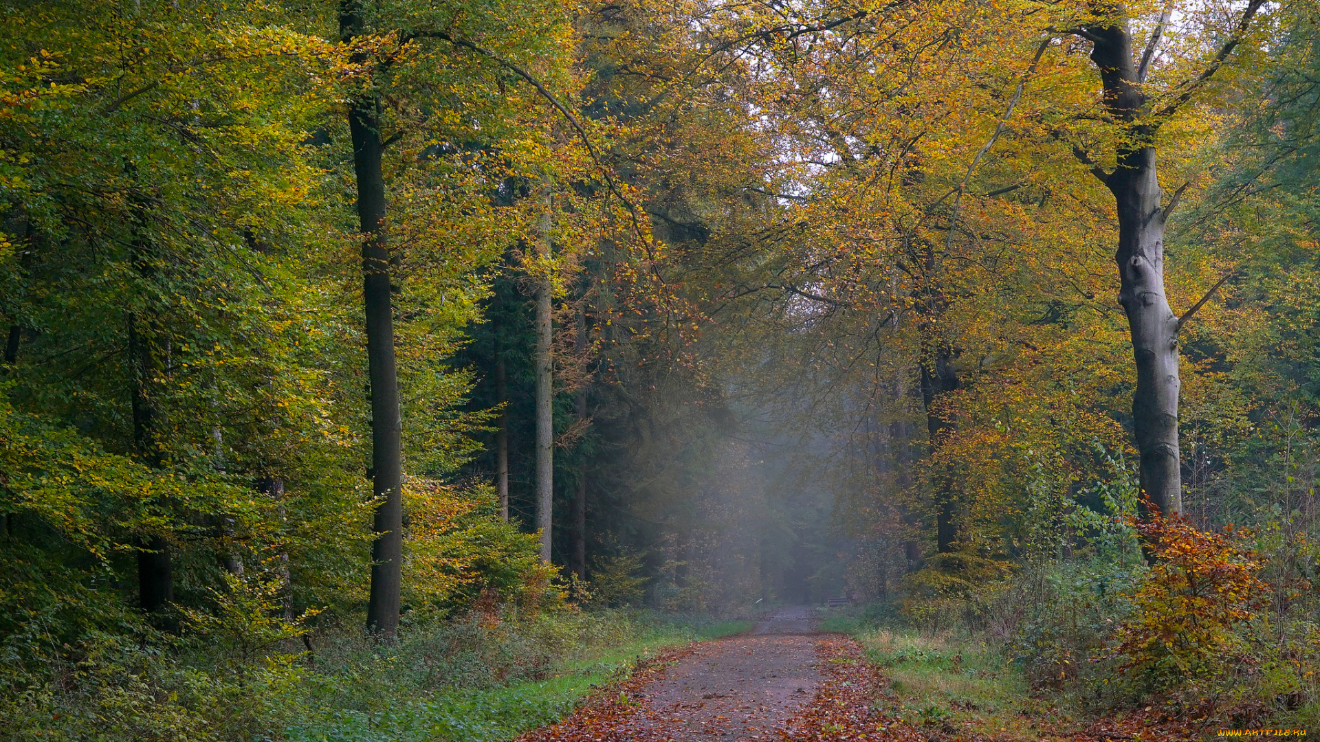 природа, дороги, простор