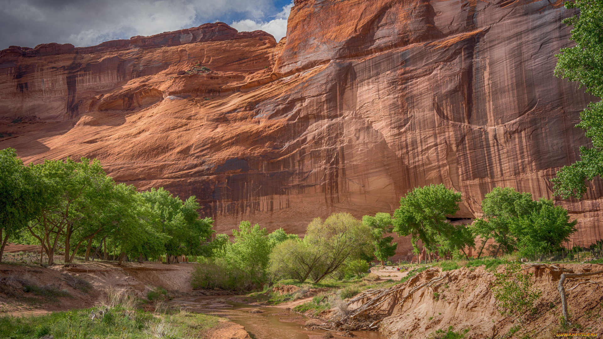 природа, горы, простор