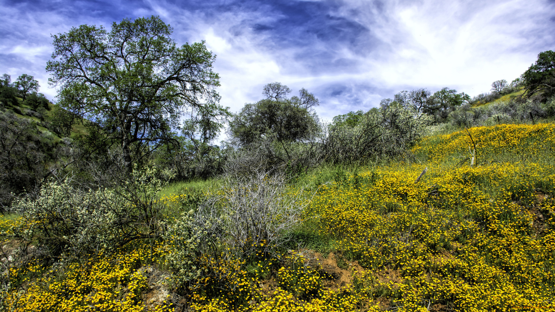 природа, пейзажи, простор
