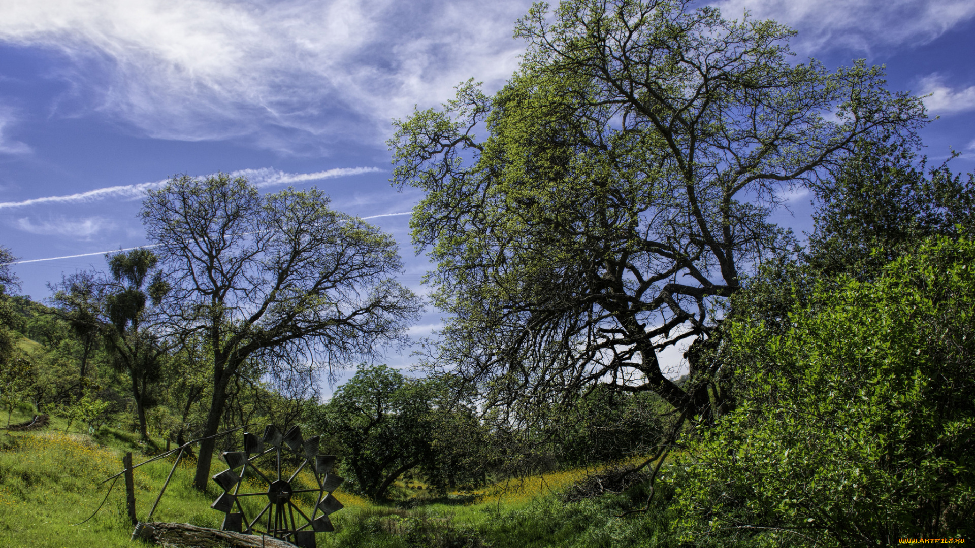 природа, пейзажи, простор