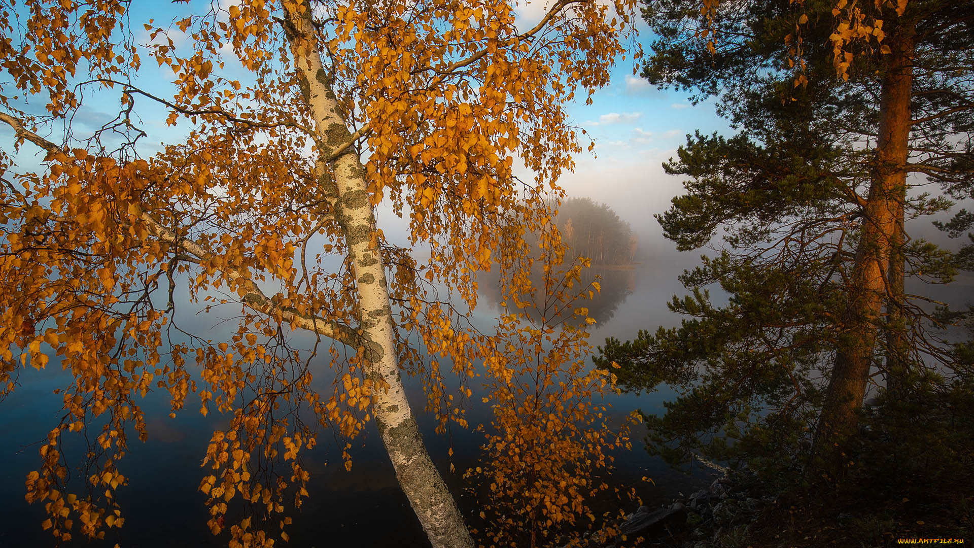 природа, пейзажи, простор