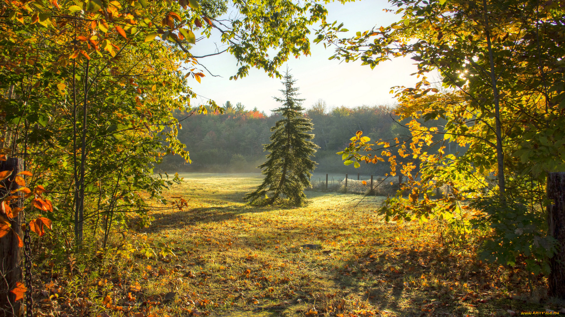 природа, пейзажи, простор