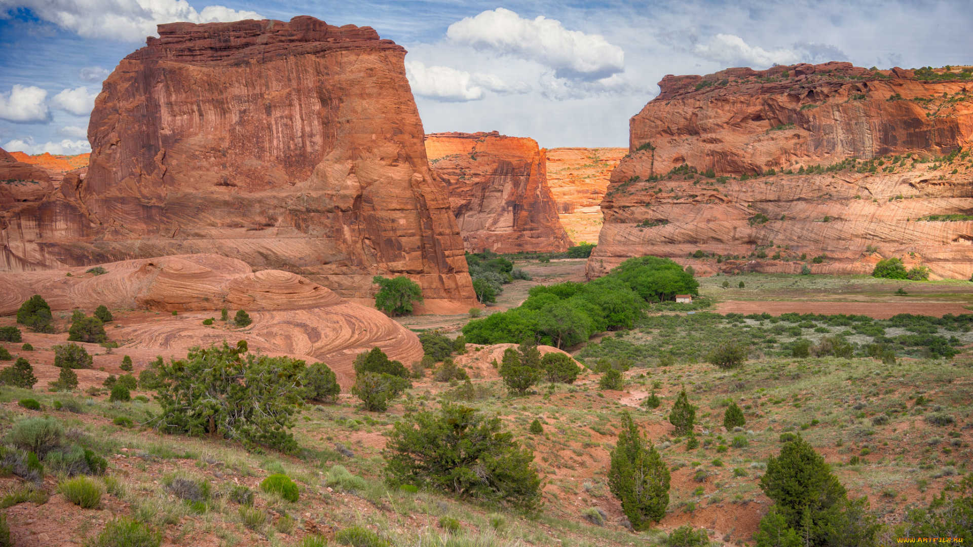 природа, пустыни, простор