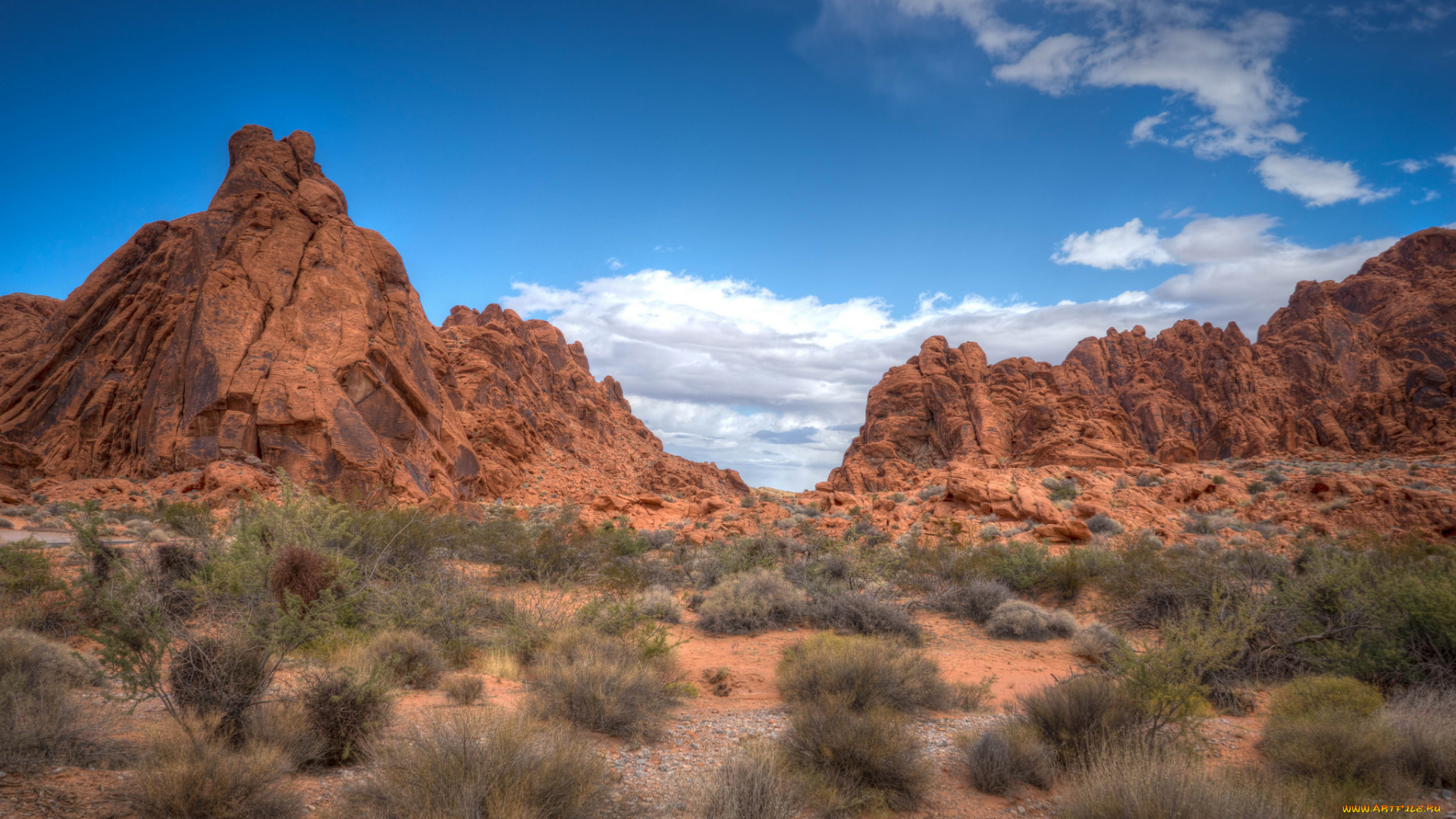 природа, пустыни, простор