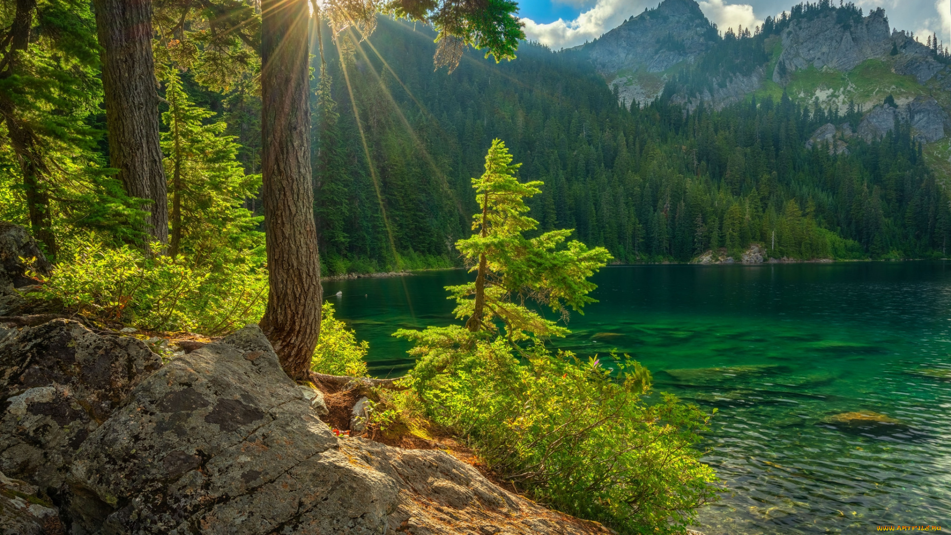 природа, реки, озера, простор