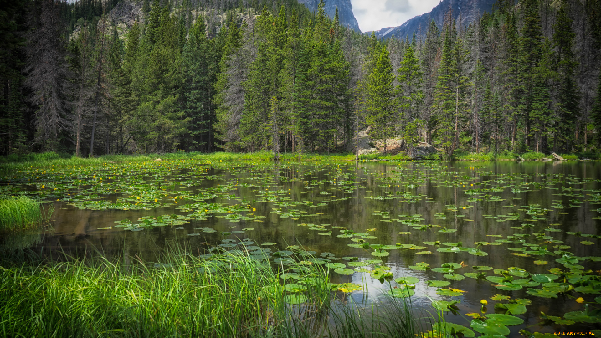 природа, реки, озера, простор