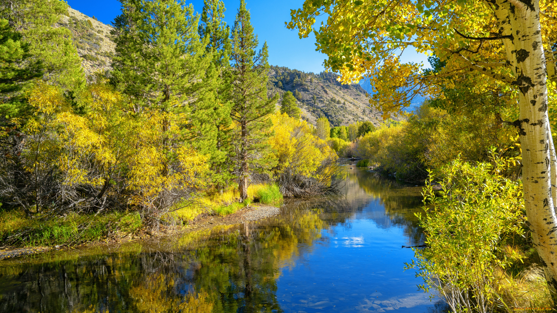 природа, реки, озера, простор