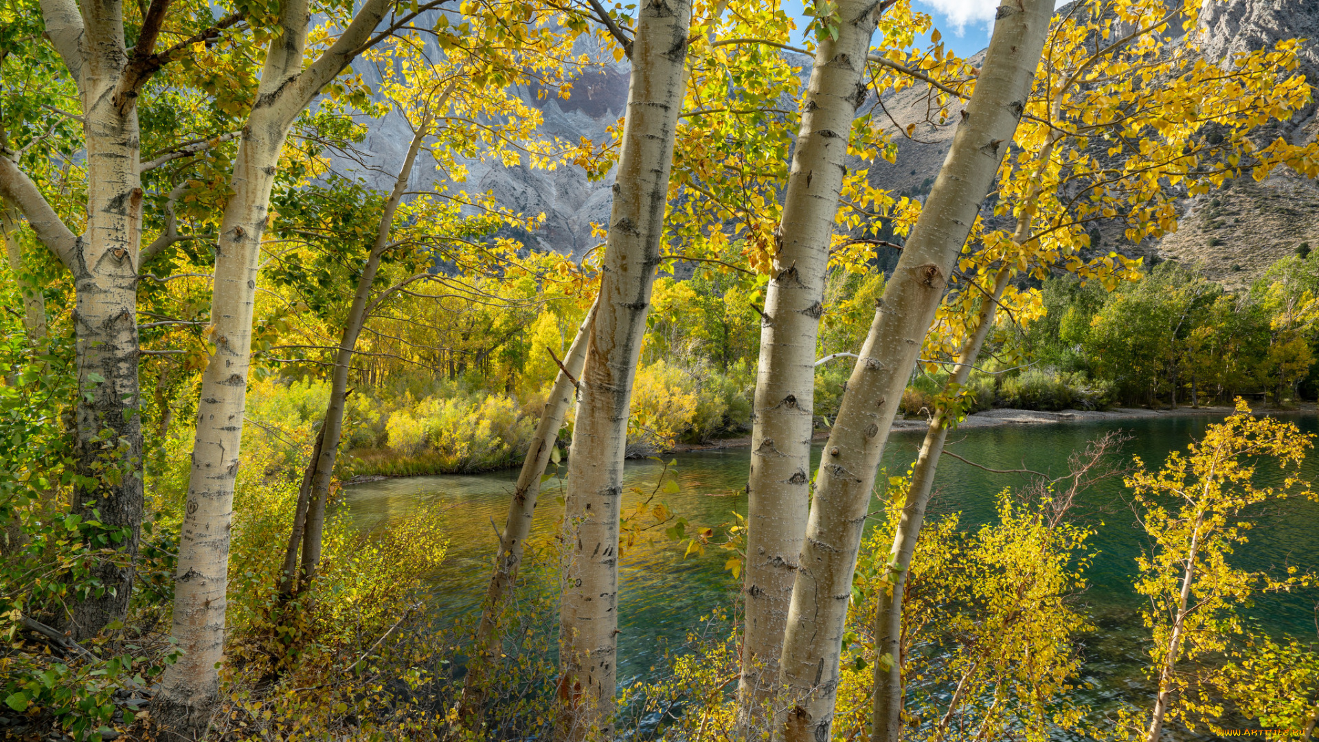 природа, реки, озера, простор