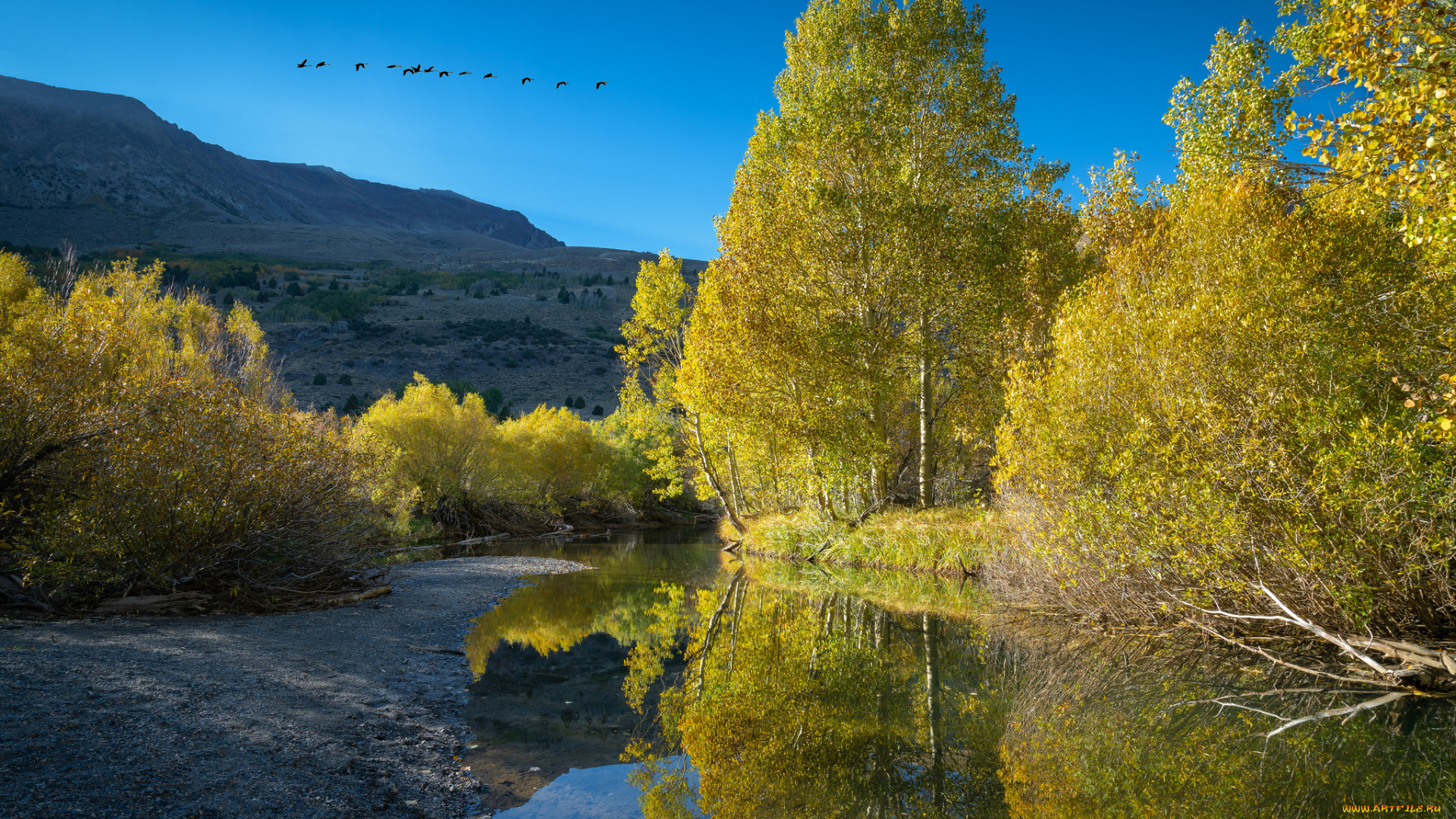 природа, реки, озера, простор