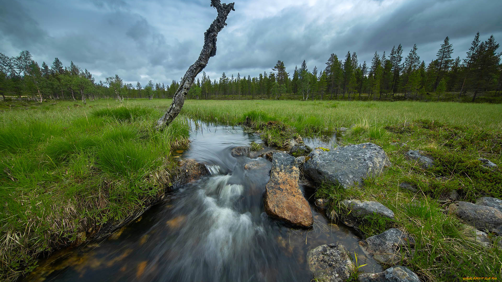 природа, реки, озера, простор