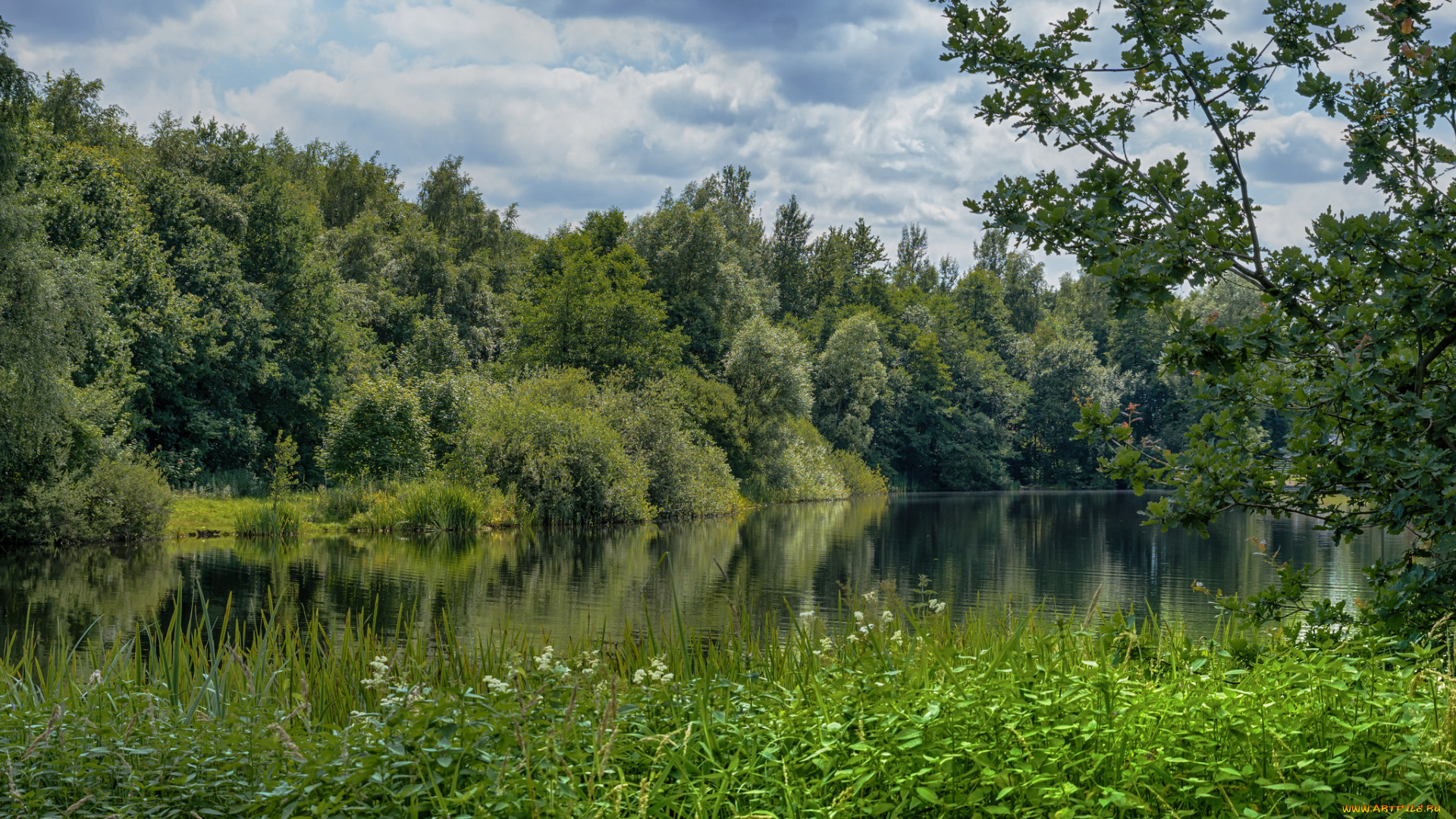 природа, реки, озера, простор