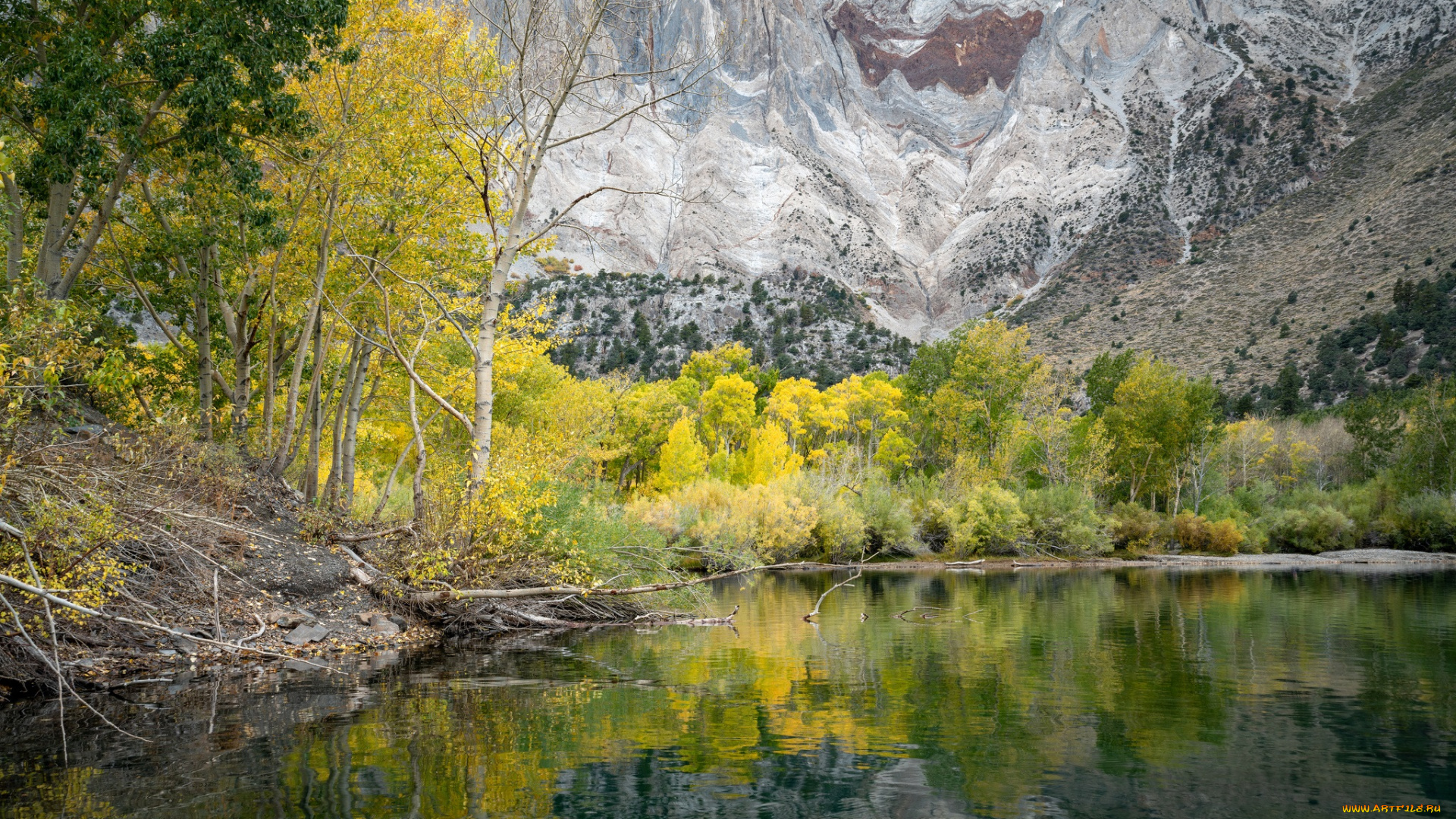 природа, реки, озера, простор