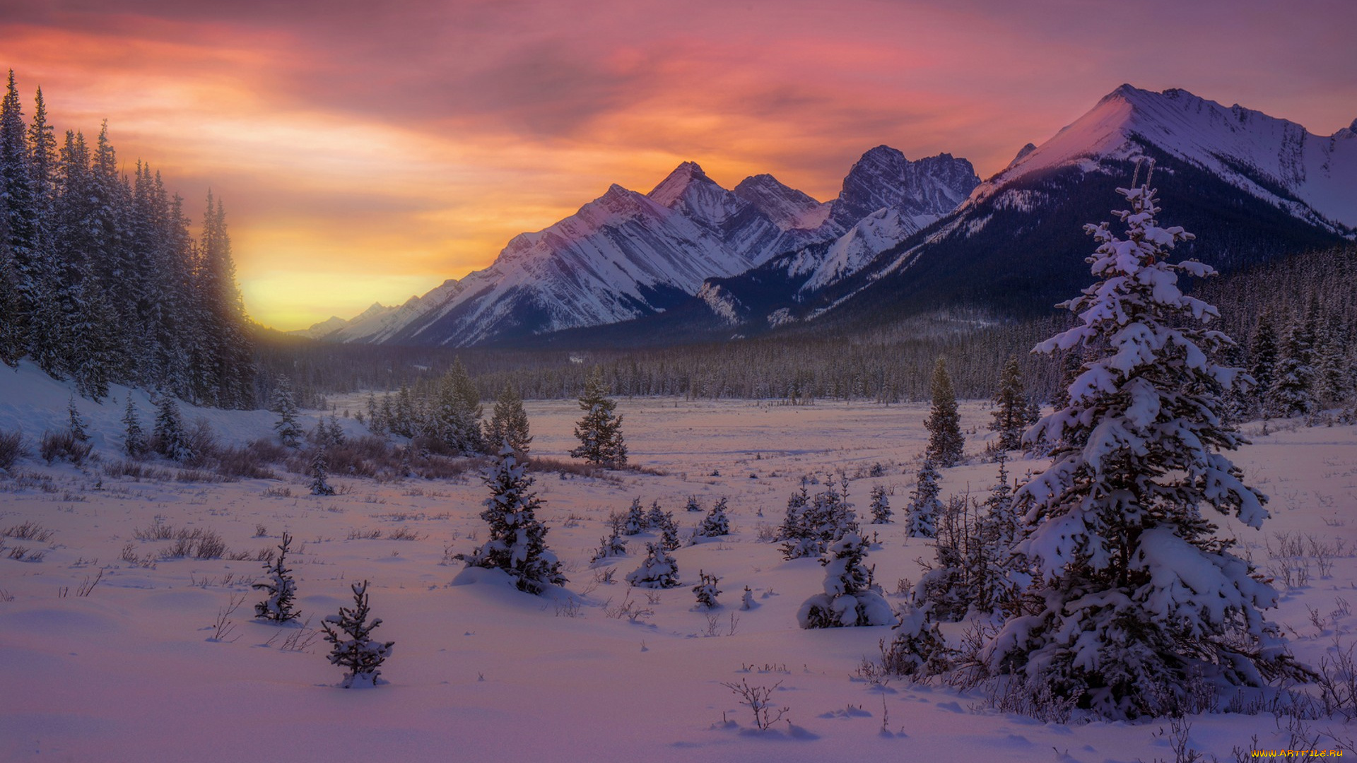 природа, зима, простор