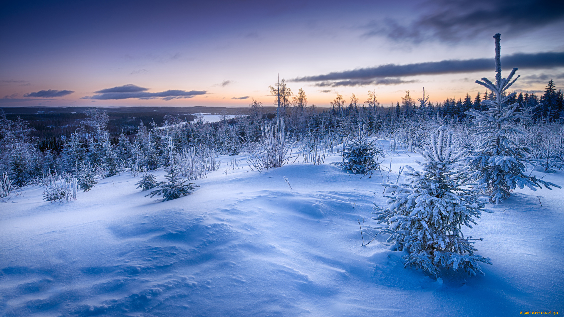 природа, зима, снег