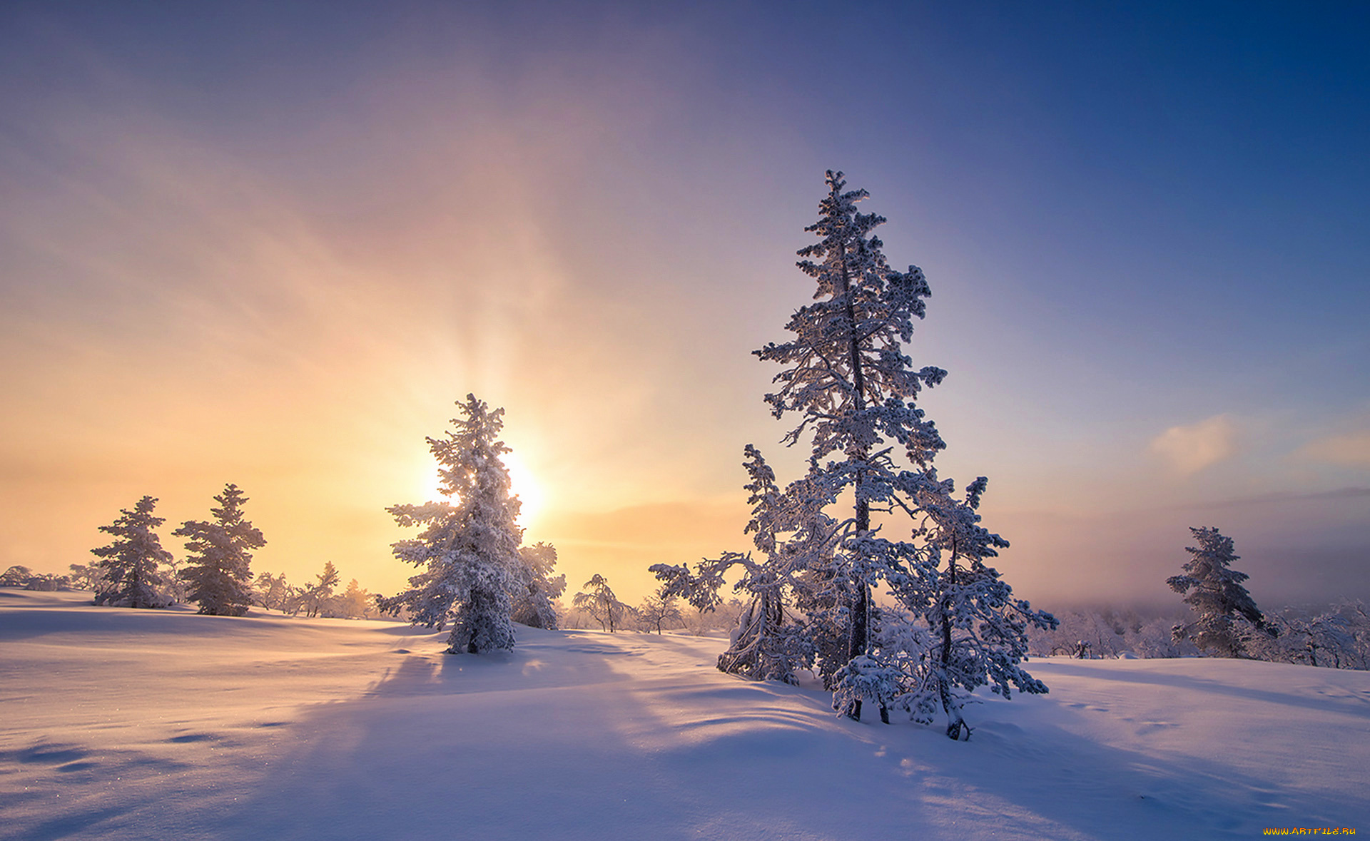 природа, зима, простор