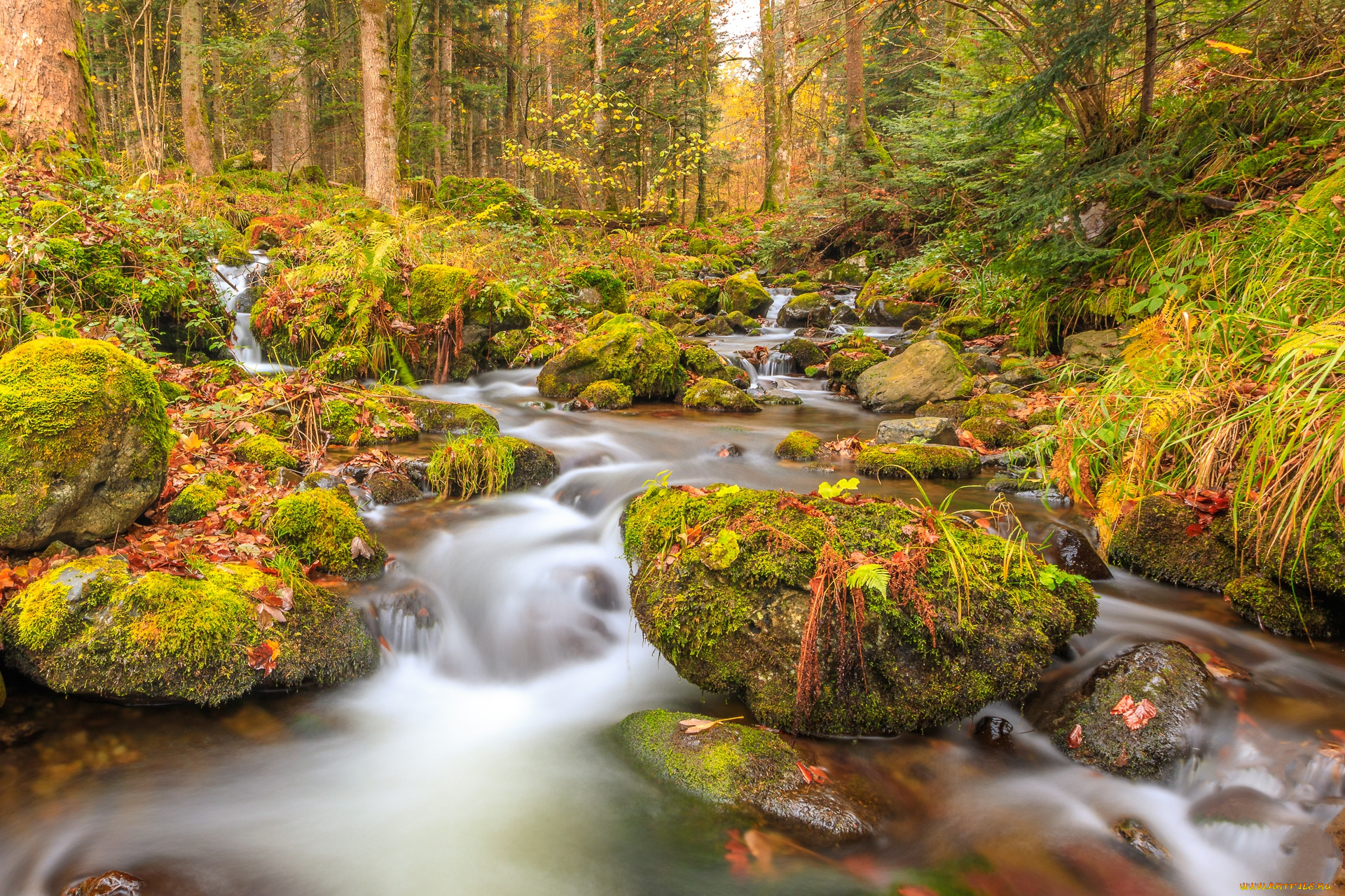 природа, реки, озера, простор