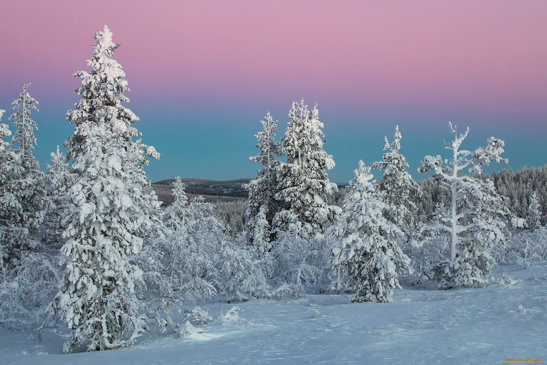 природа, зима, простор