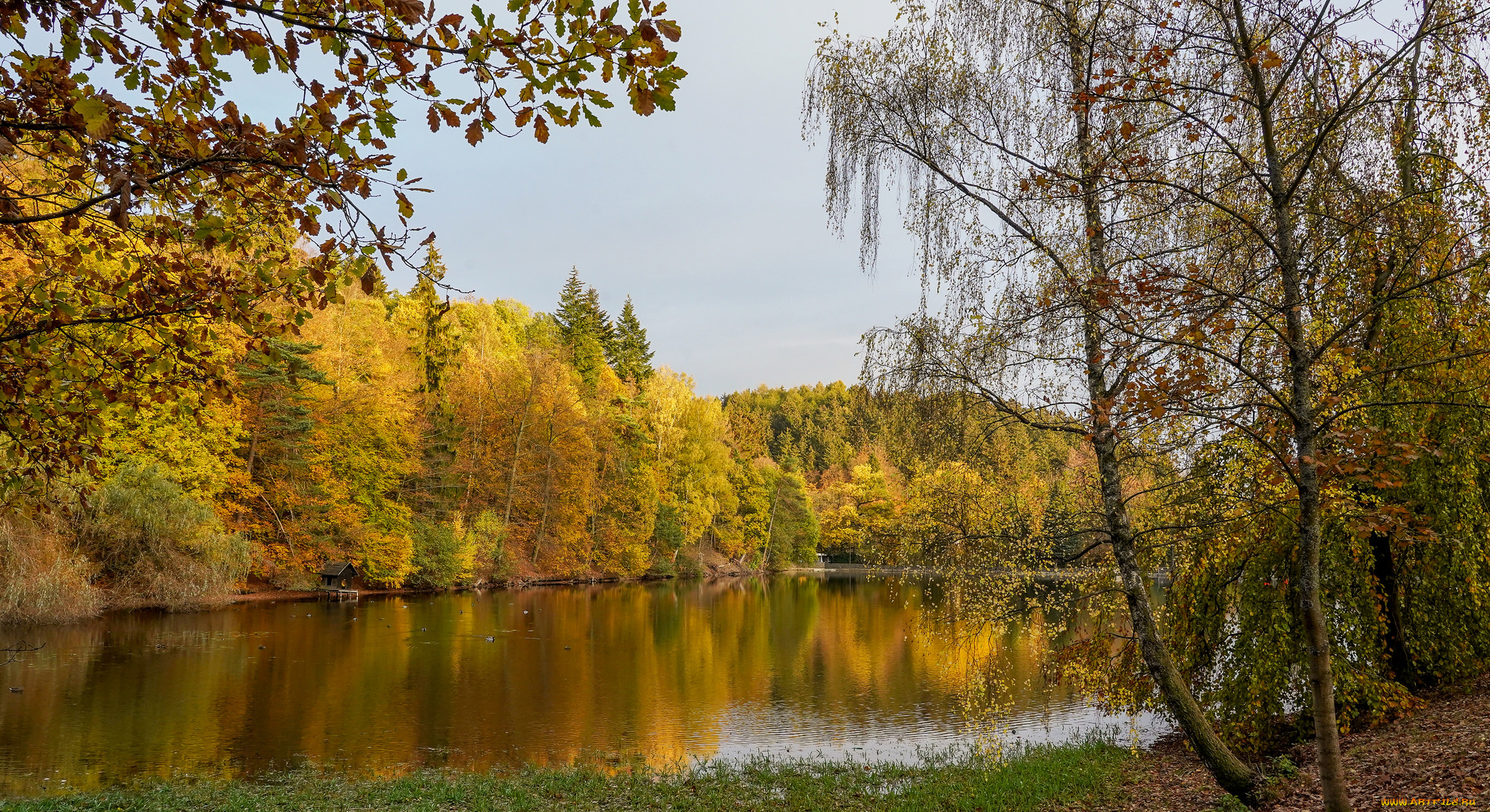 природа, реки, озера, простор